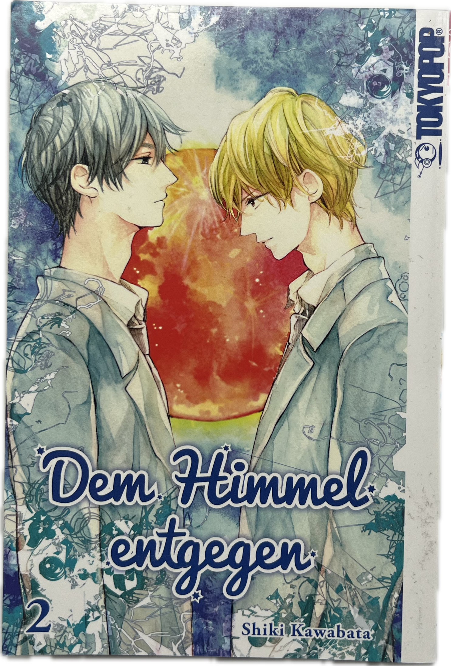 Dem Himmel entgegen 02