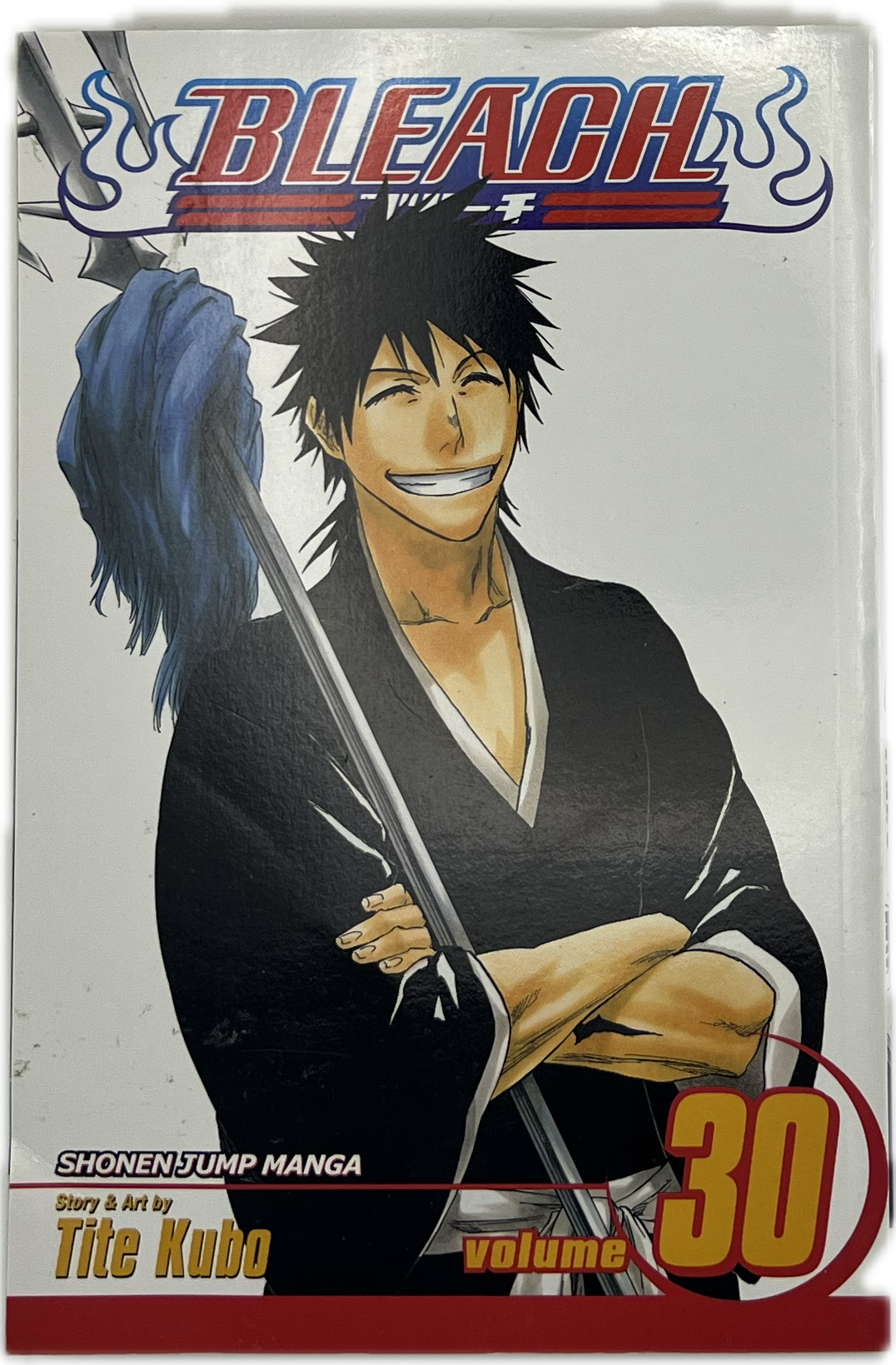 Bleach 30 Englisch | Manayga