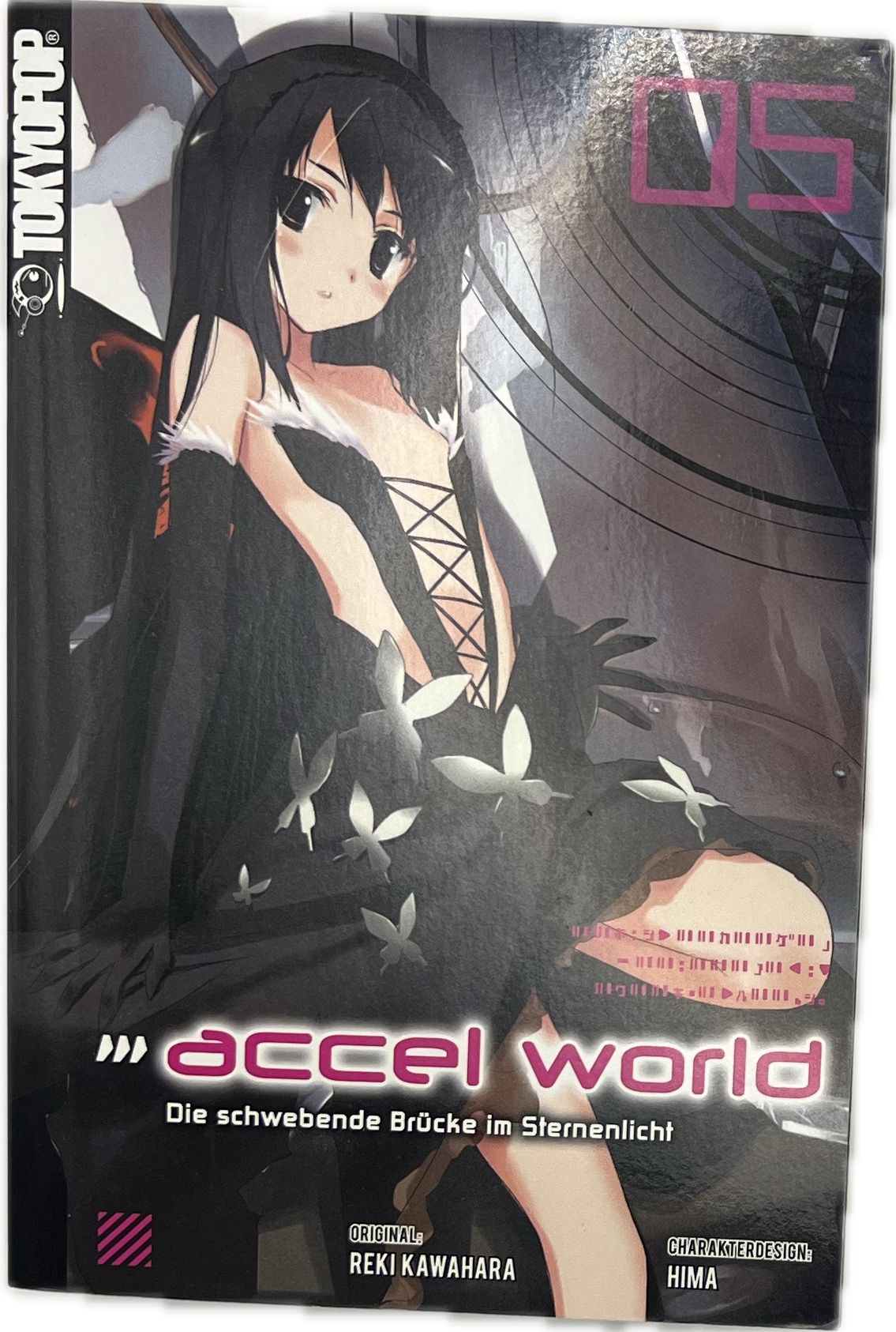 Accel World Novel 05