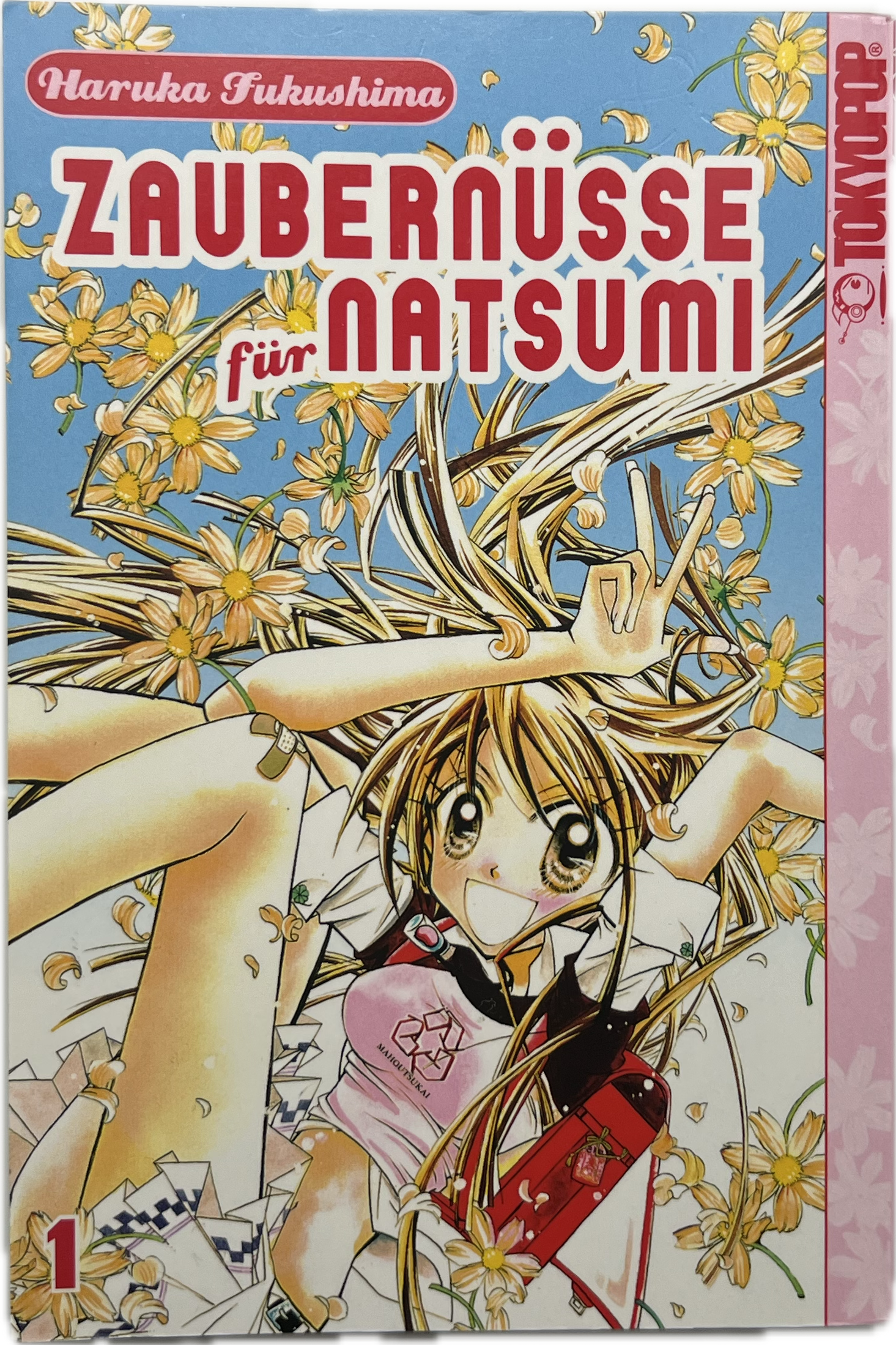 Zaubernüsse für Natsumi 01