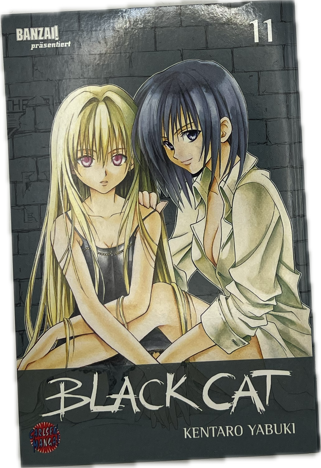 Black Cat 11