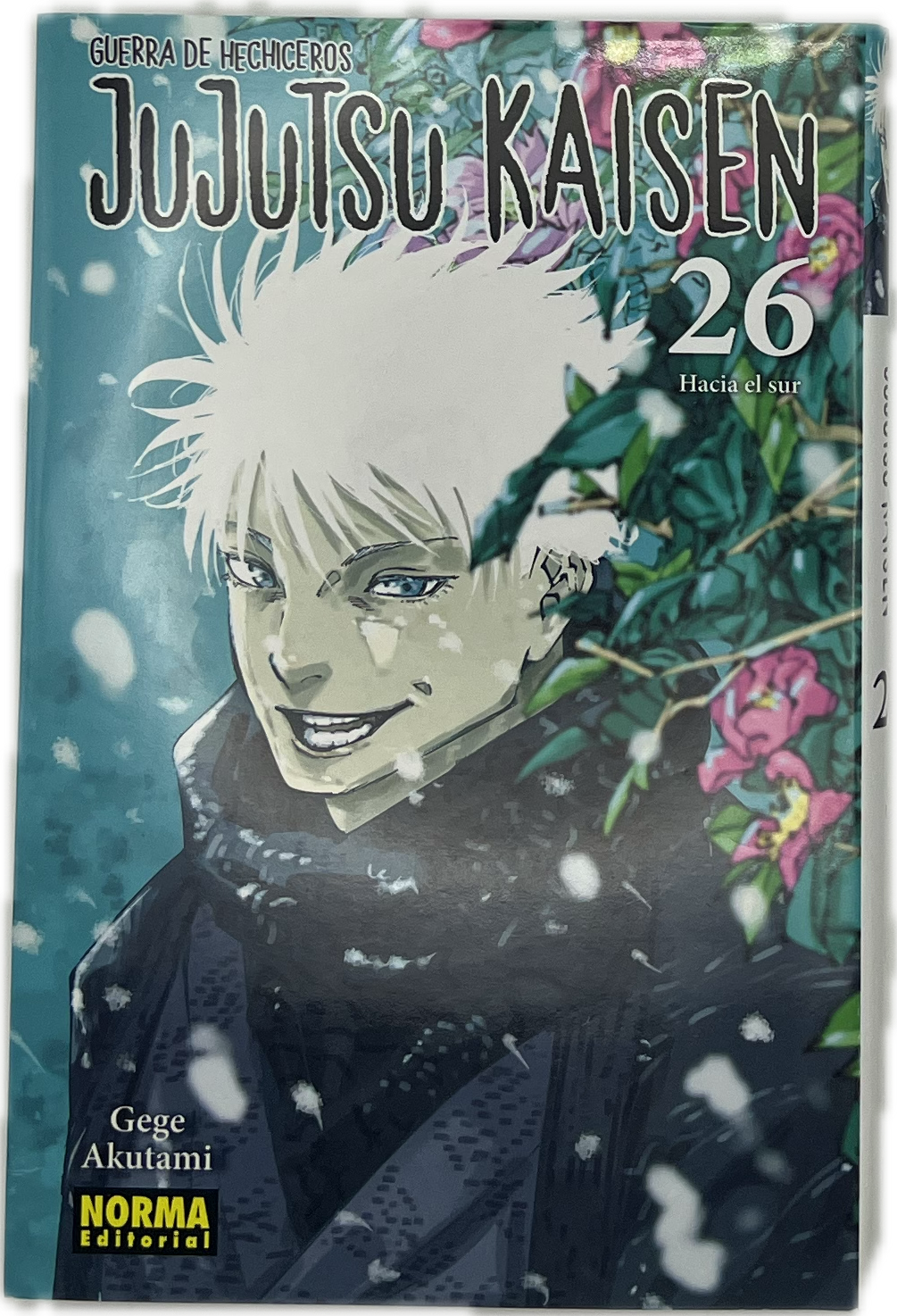 Jujutsu Kaisen 26 Spanisch