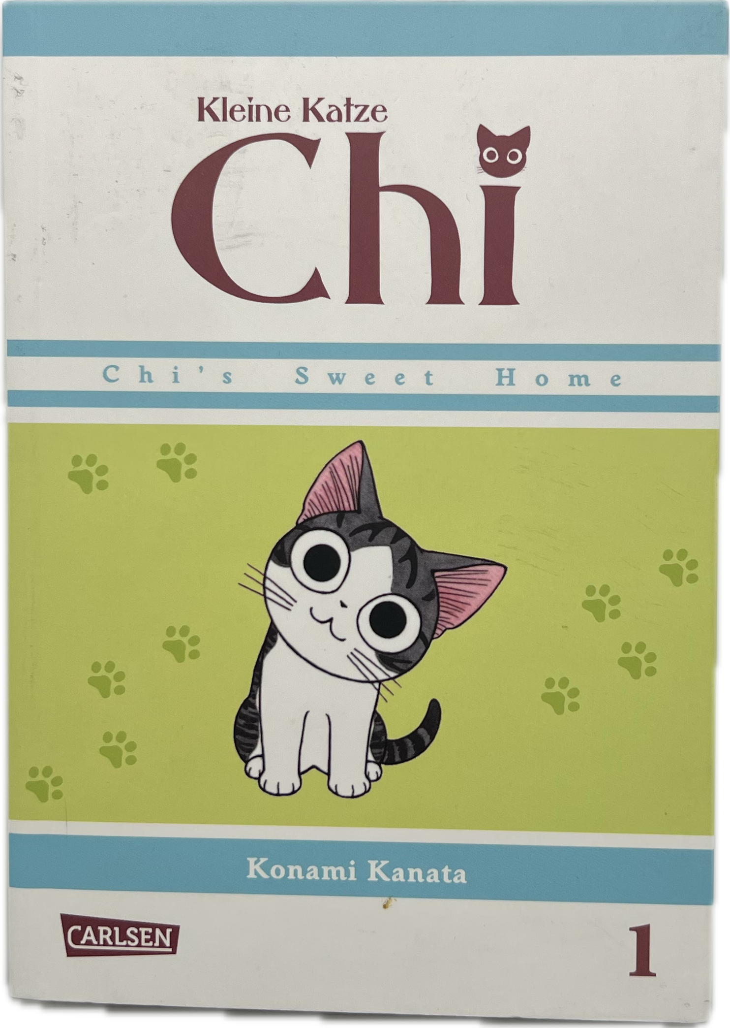 Kleine Katze Chi 01