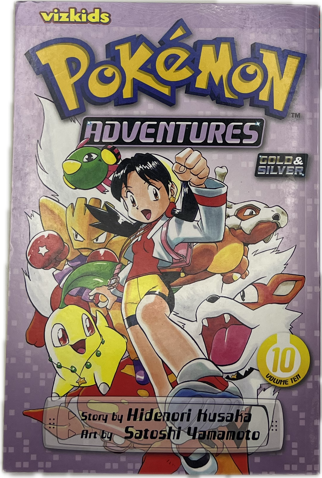 Pokémon Adventures 10 English