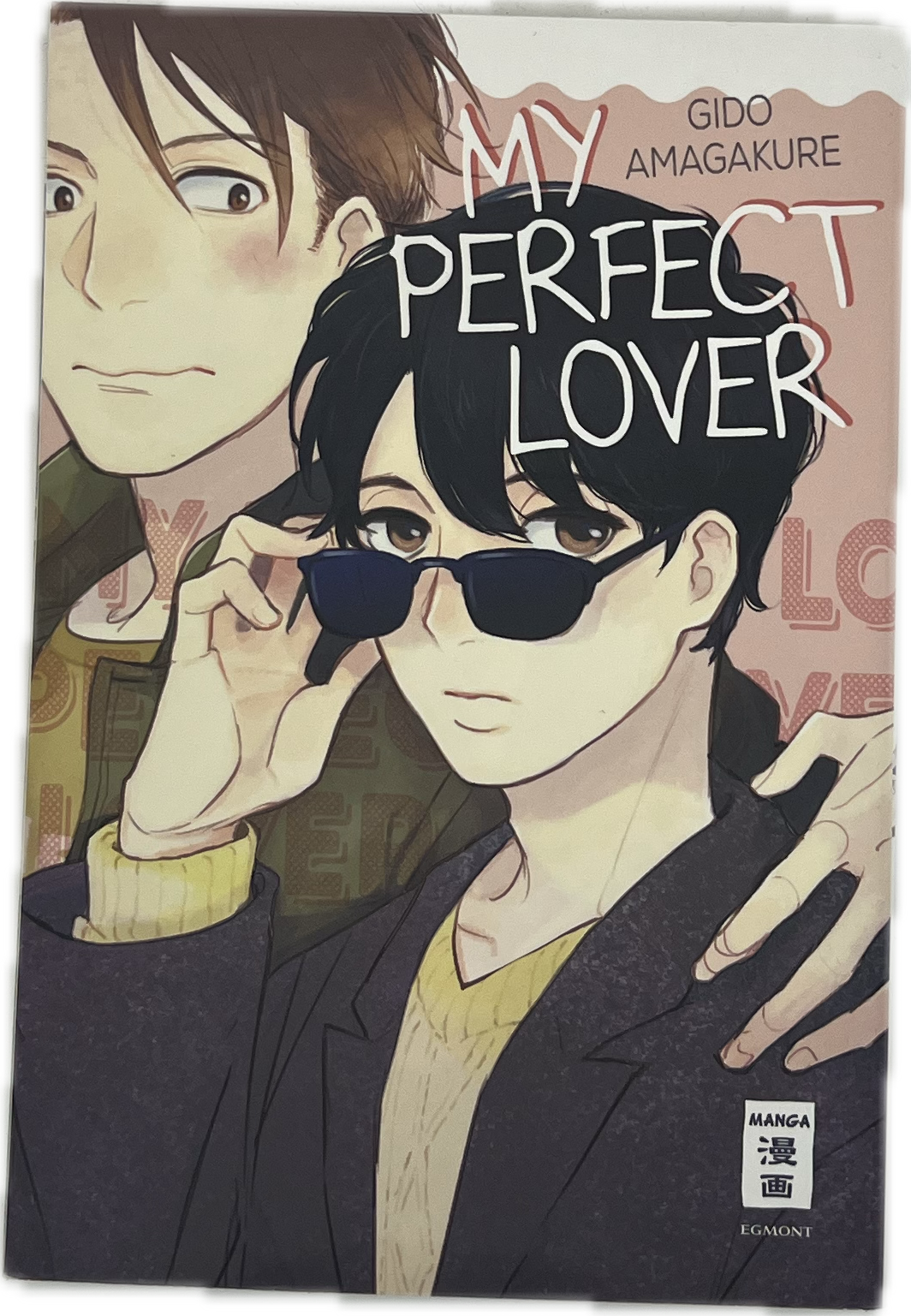 My Perfect Lover