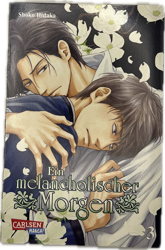 Ein melancholischer Morgen 03