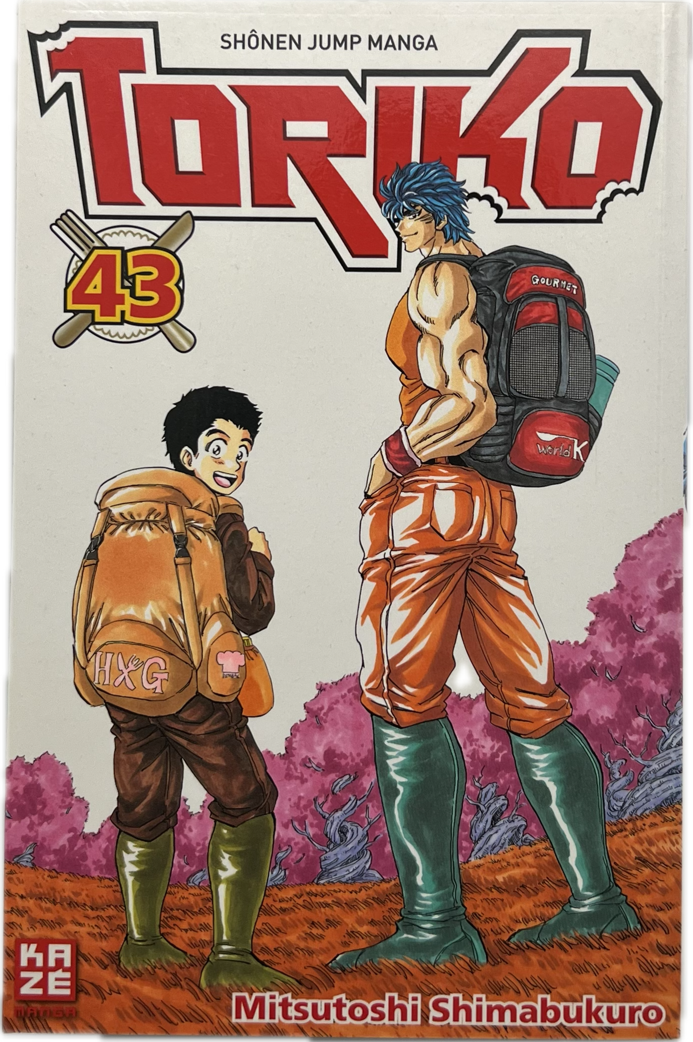 Toriko 43