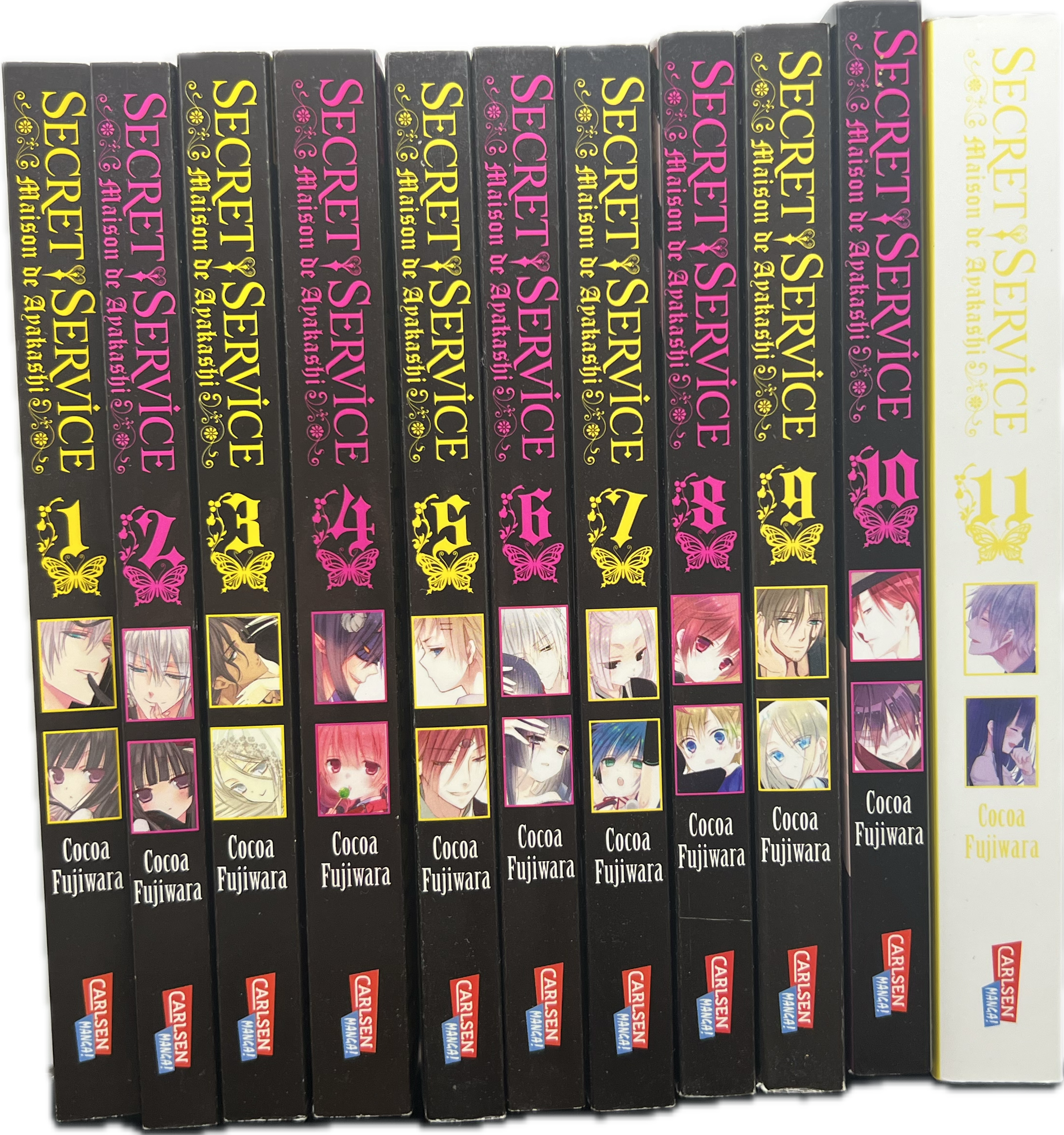 Secret Service 1-11 komplette Reihe