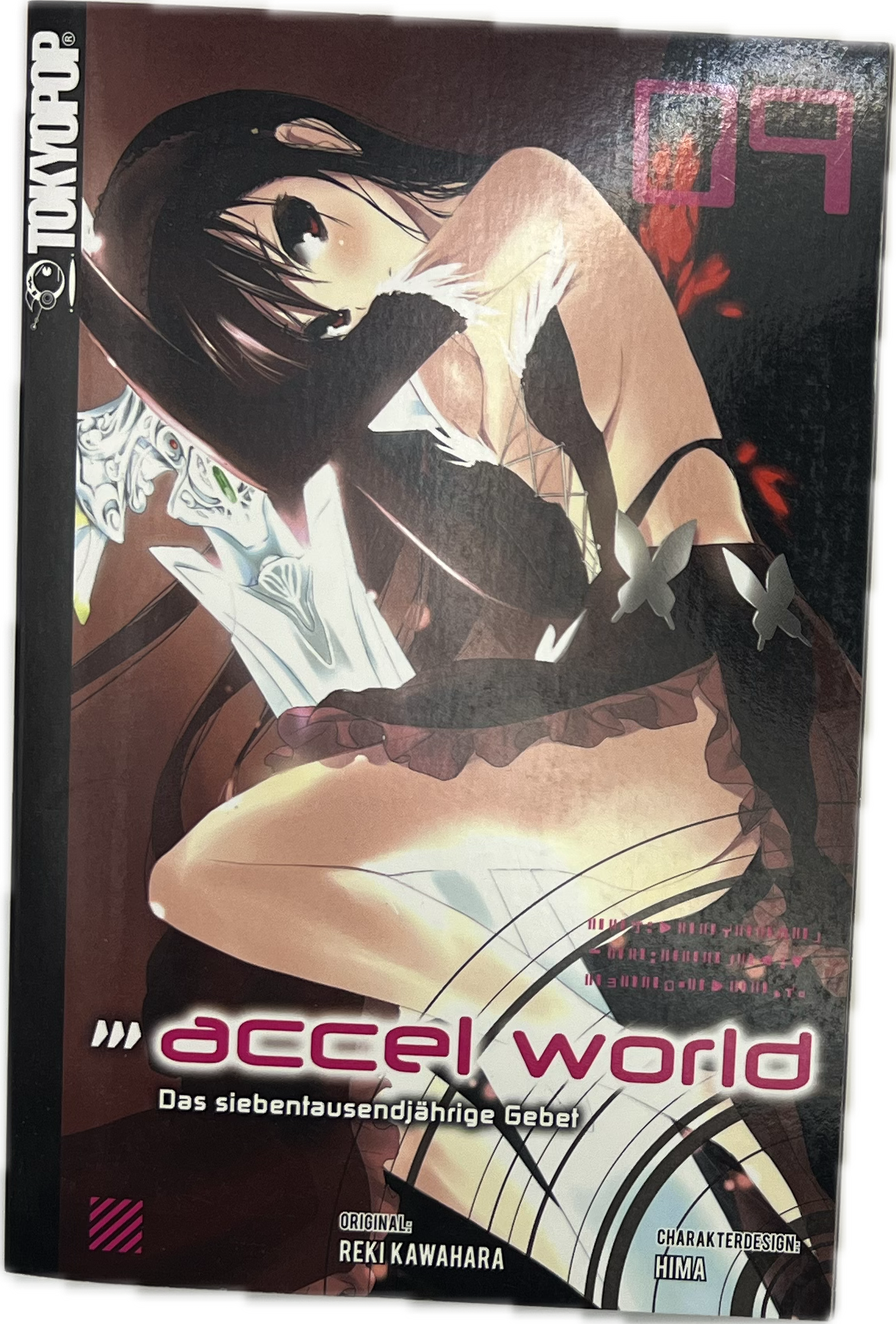 Accel World Novel 09