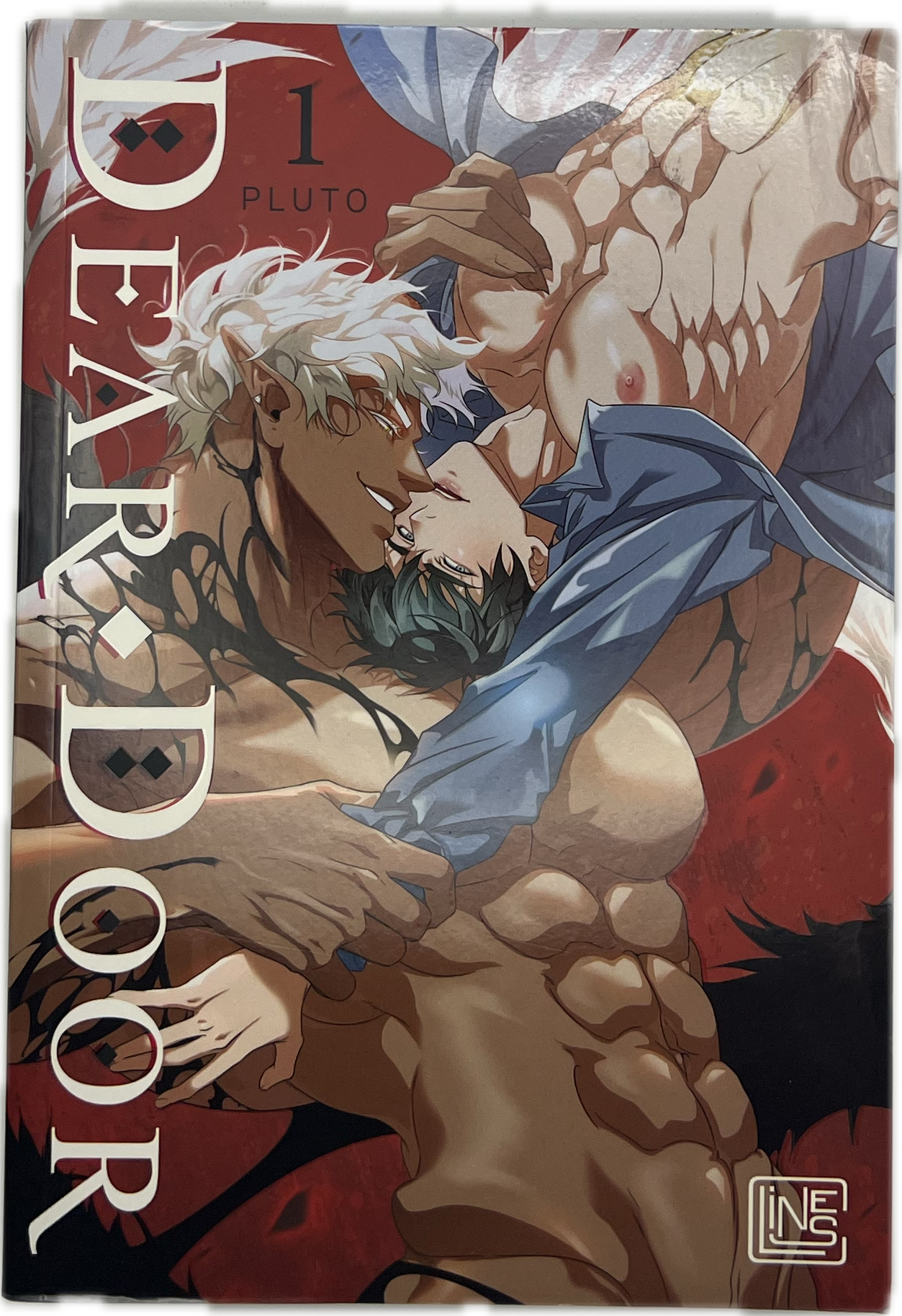 Dear Door 01