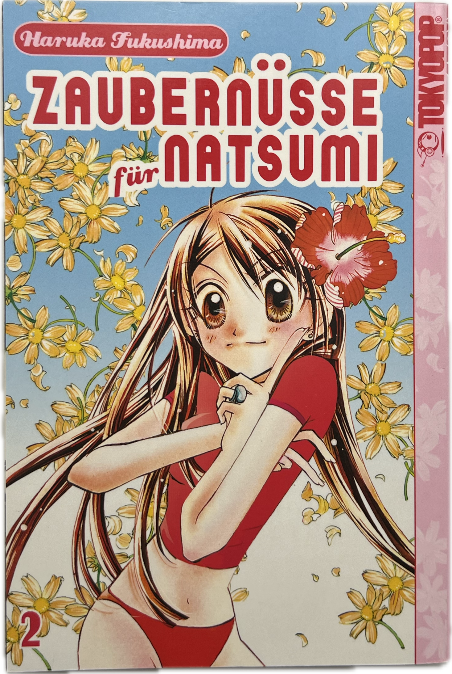 Zaubernüsse für Natsumi 02