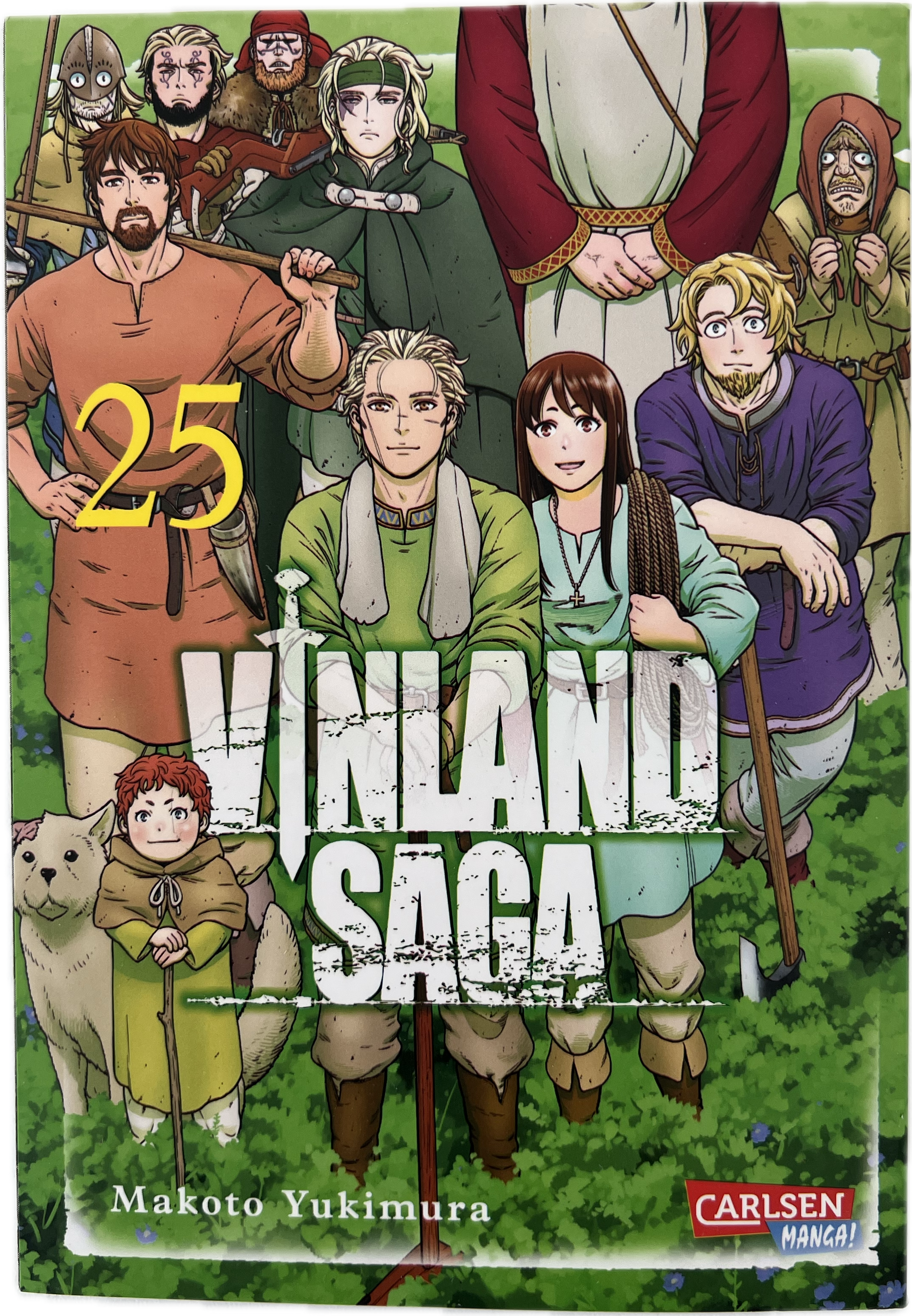 Vinland Saga 25