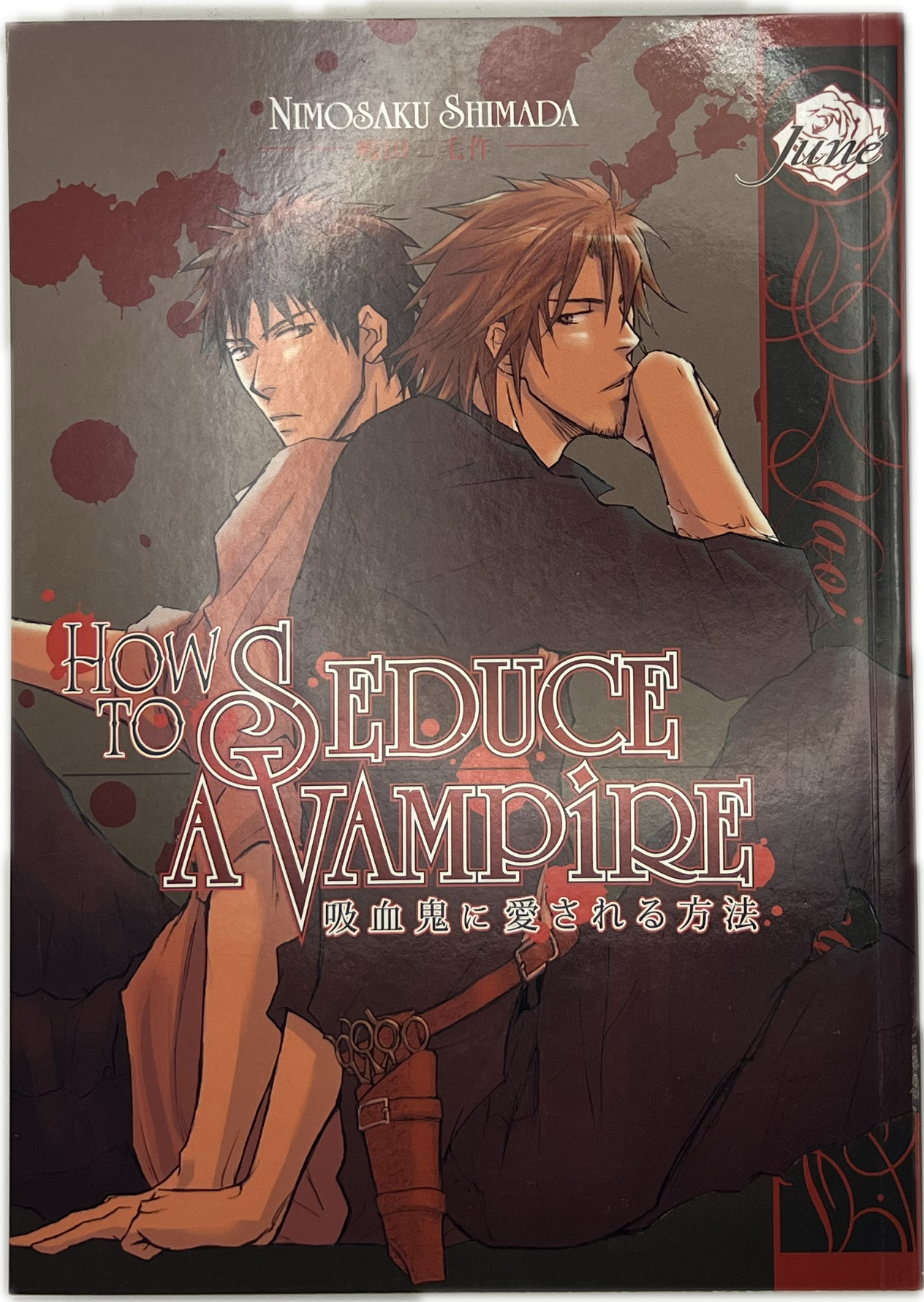 How to seduce a Vampire Englisch