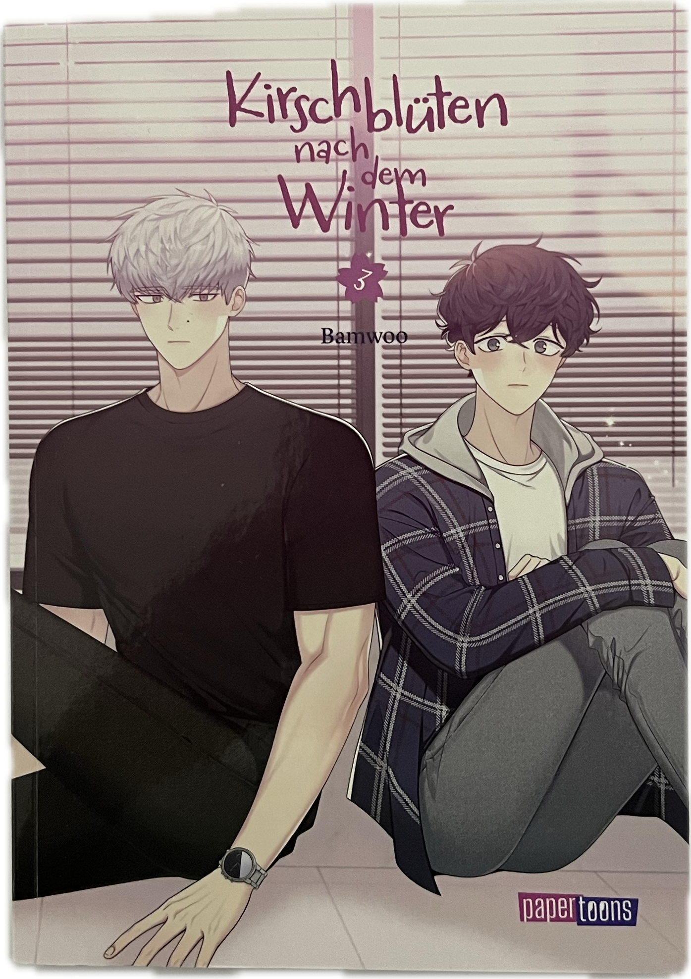 Kirschblüten nach dem Winter 03