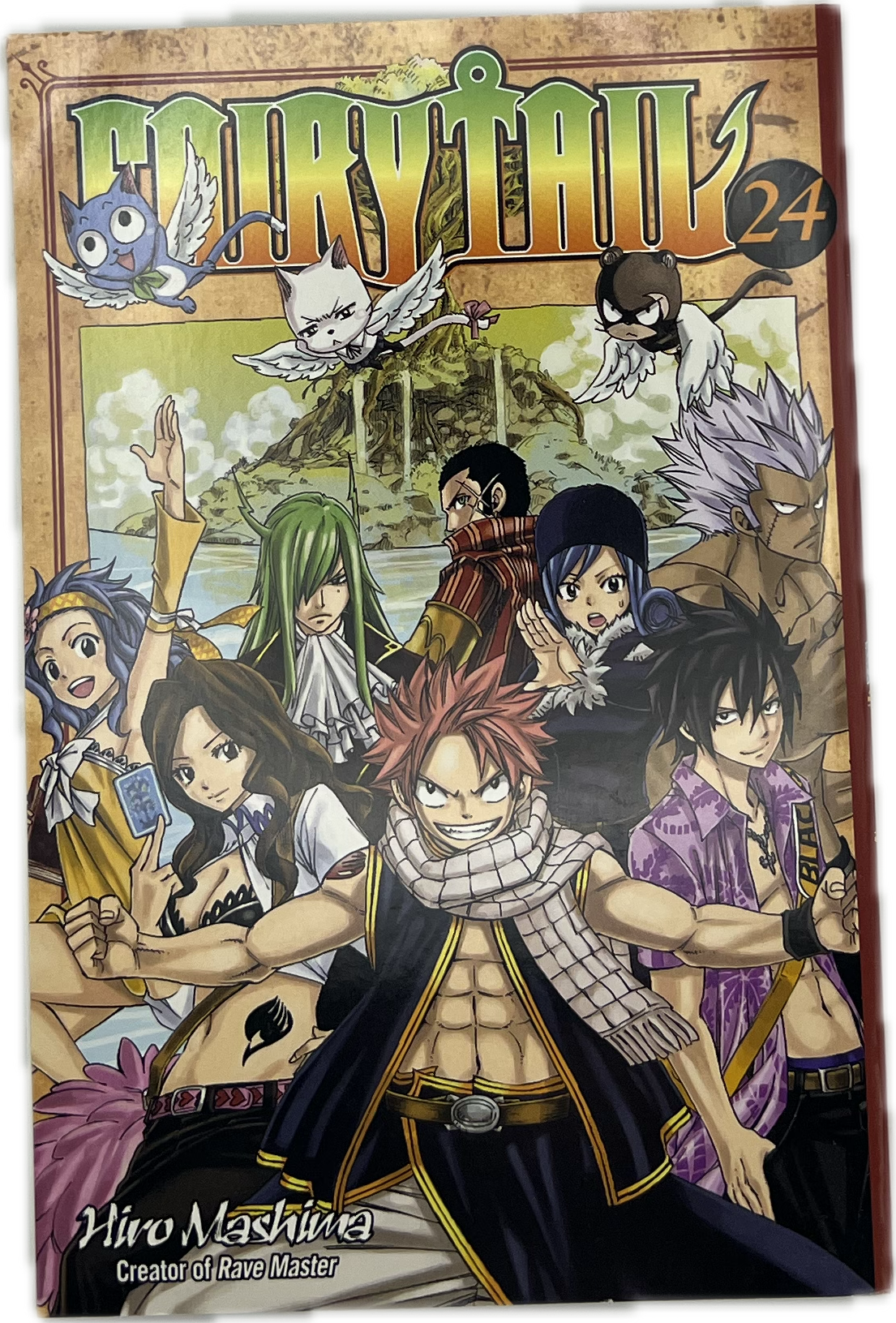 Fairy Tail 24 englisch
