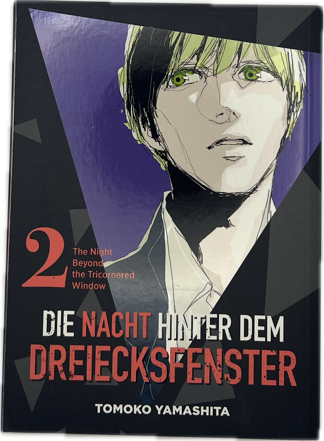 Die Nacht hinter dem Dreiecksfenster 02