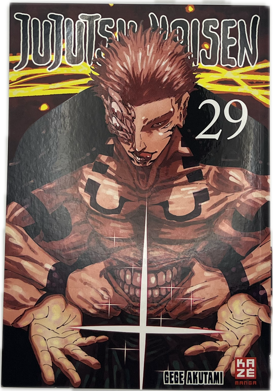 Jujutsu Kaisen 29 | Manayga