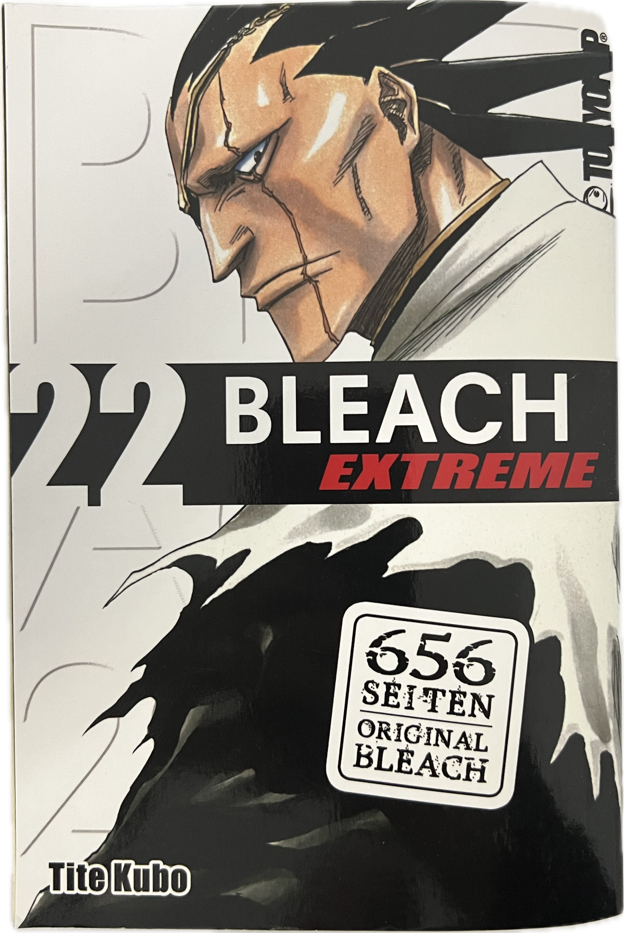 Bleach Massive 22