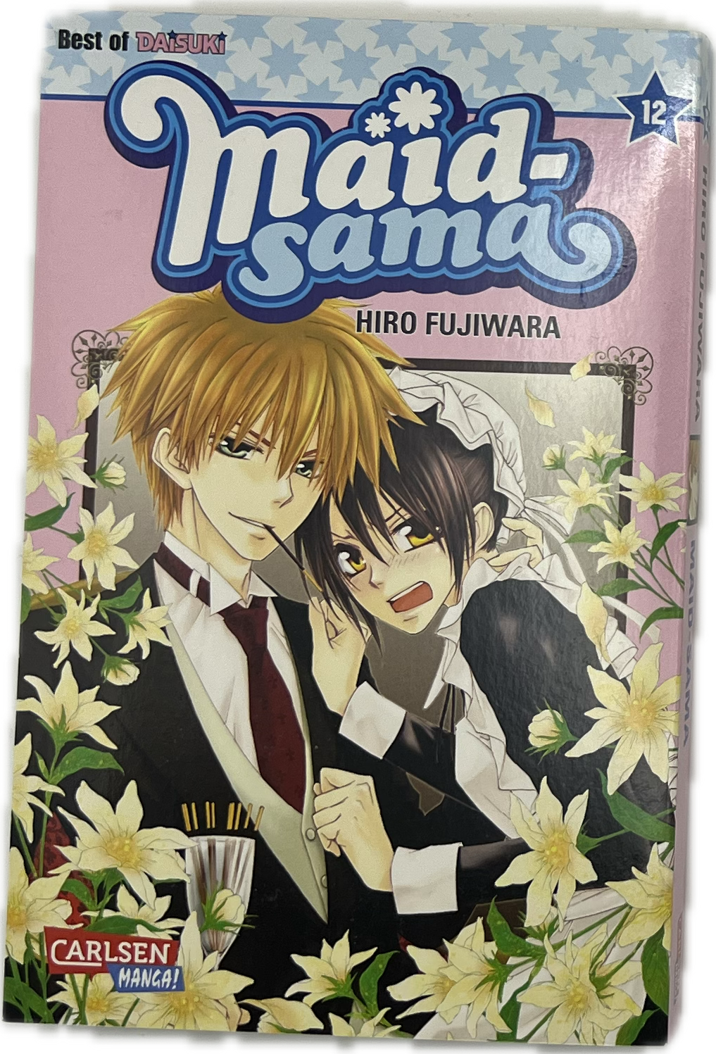 Maid Sama 12