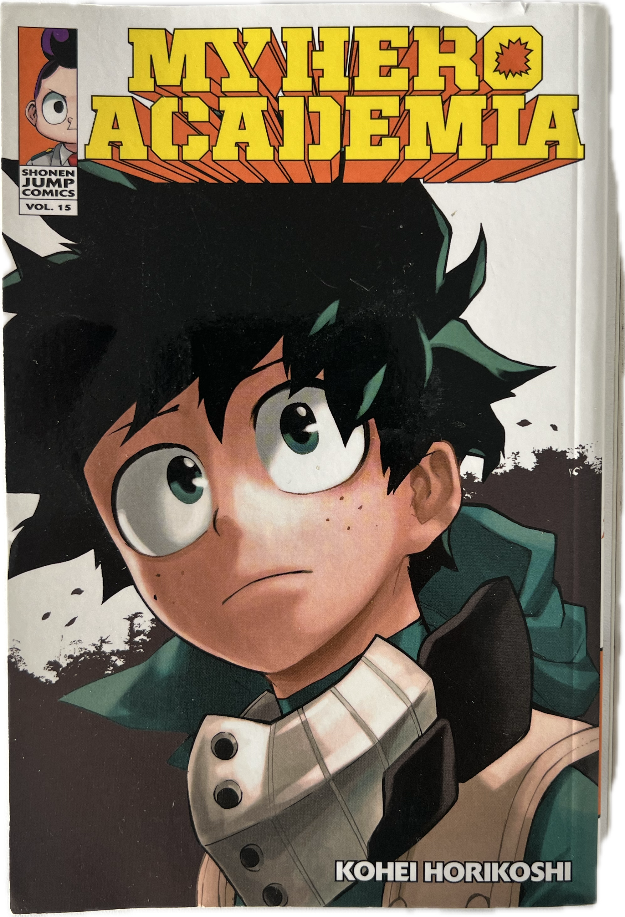My Hero Academia 15 Englisch