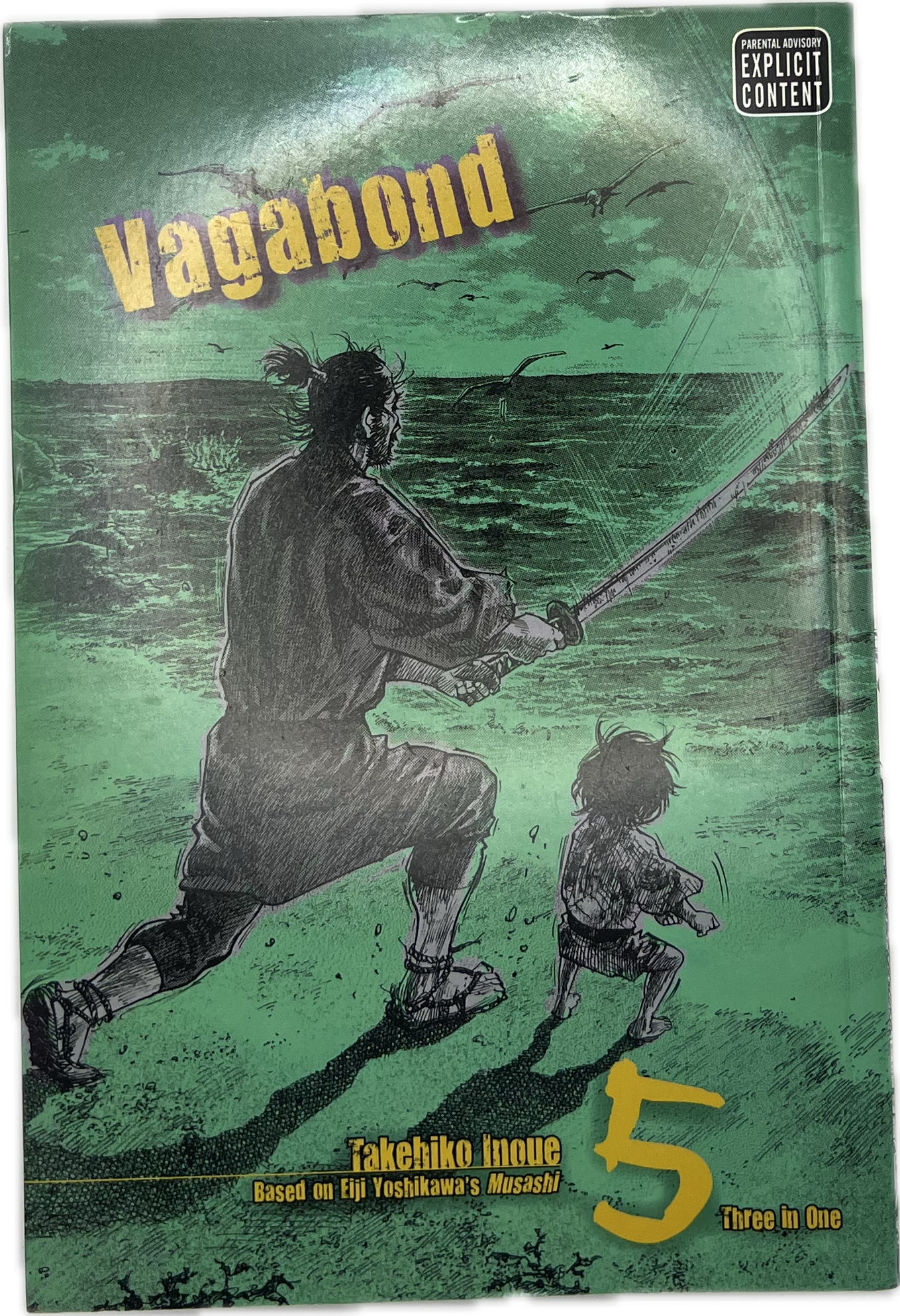 Vagabond 05 VIZBIG Englisch