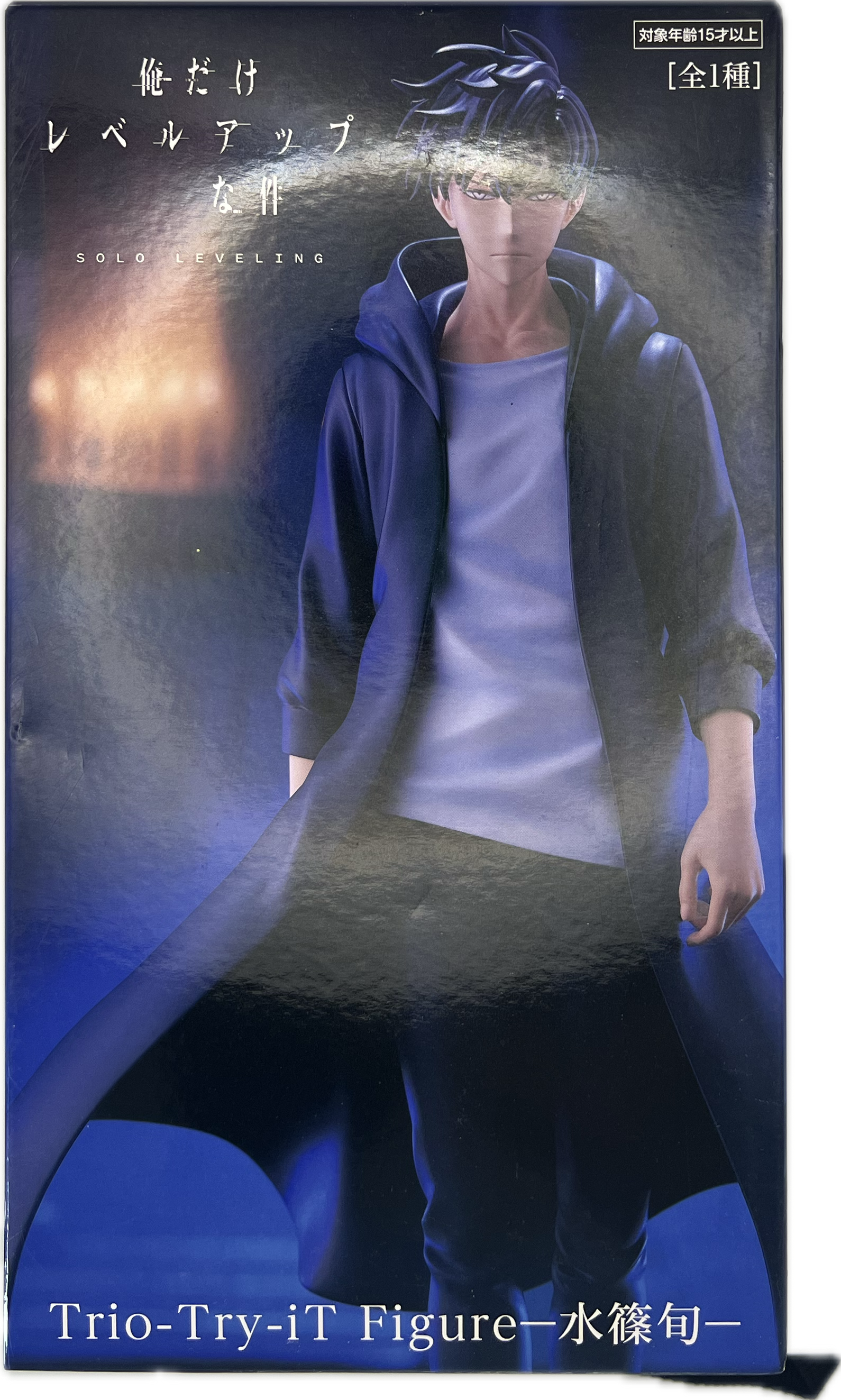 Sung Jin-Woo Figure