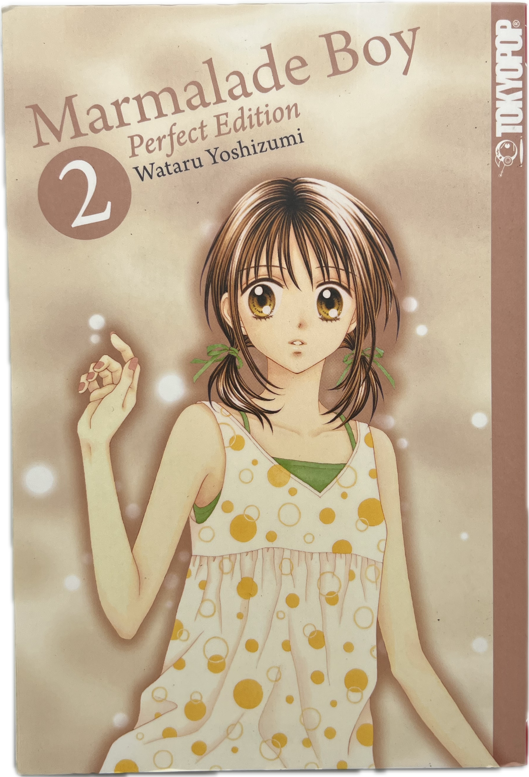 Marmalade Boy Perfect Edition 02