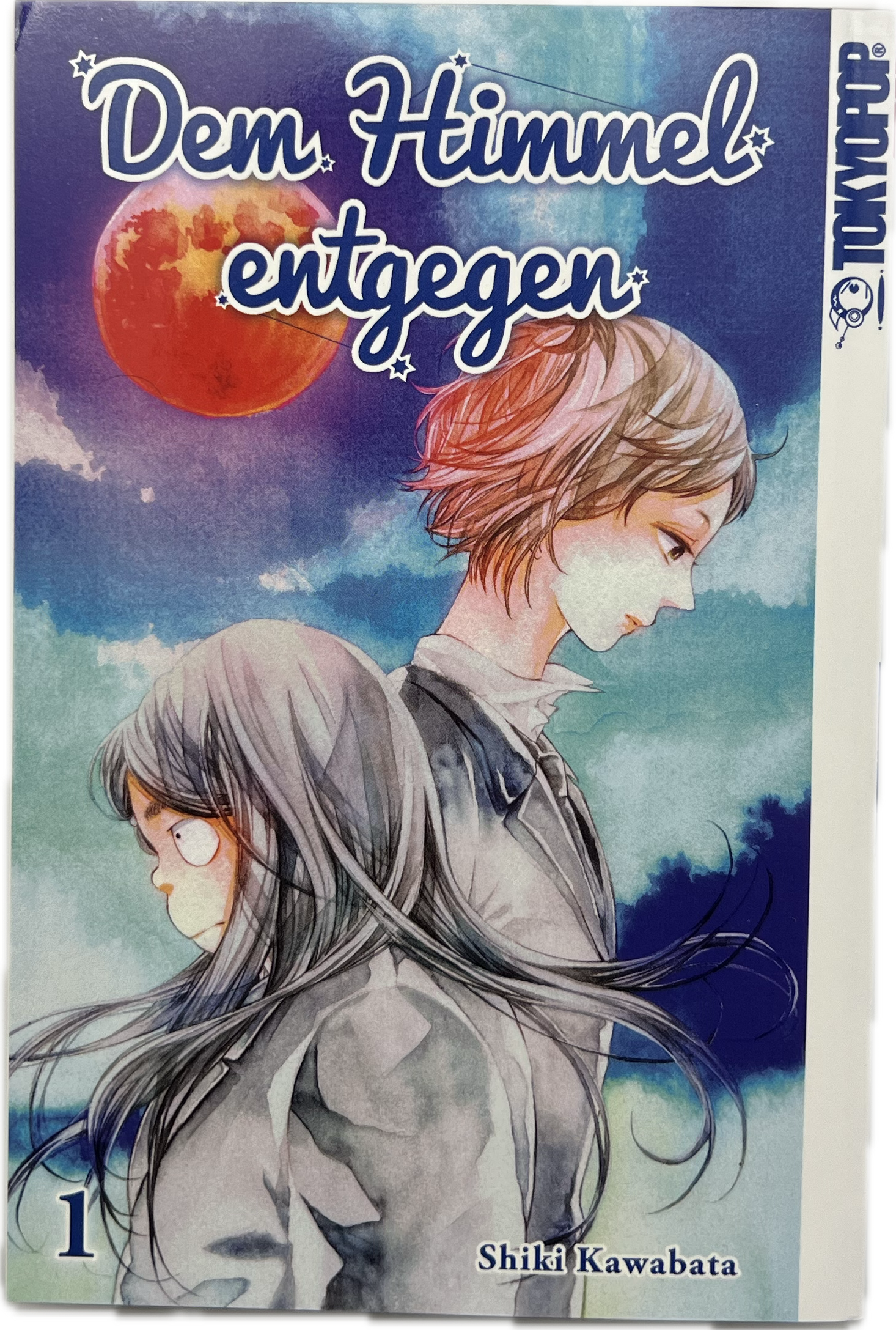 Dem Himmel entgegen 01