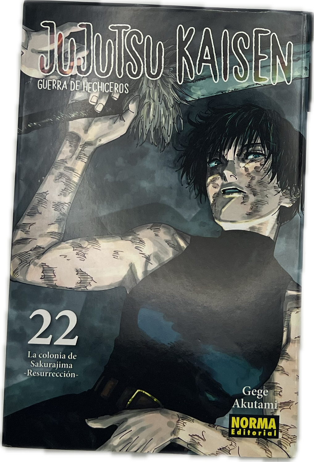 Jujutsu Kaisen 22 Spanisch