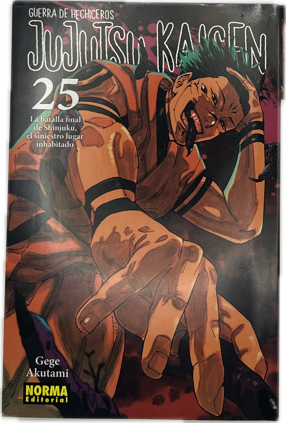 Jujutsu Kaisen 25 Spanisch