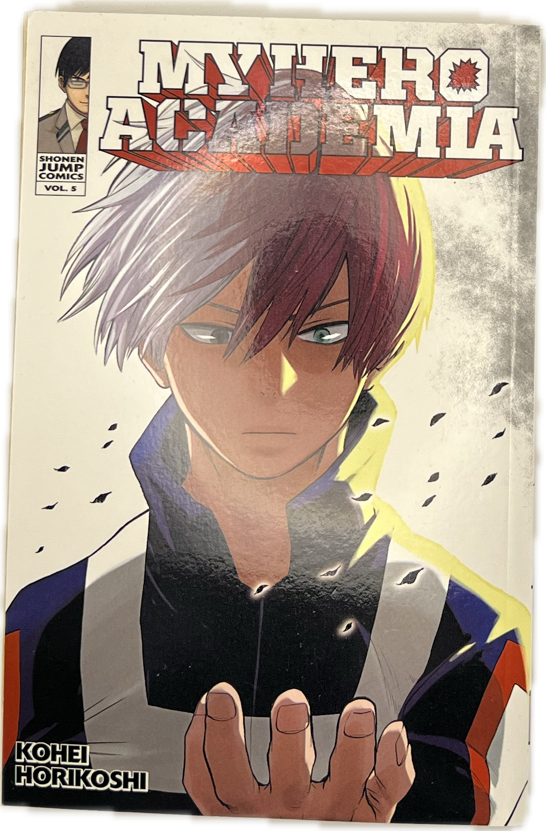 My Hero Academia 05 Englisch