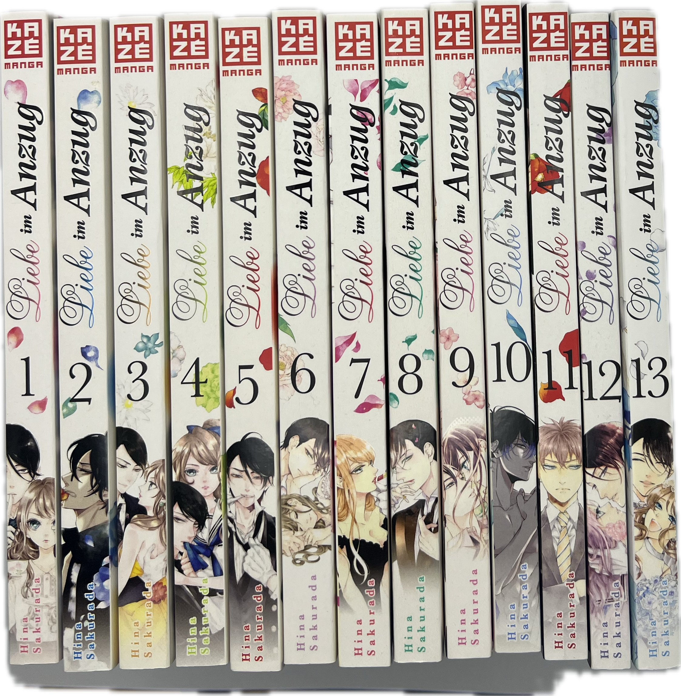 Liebe im Anzug 01-13 komplette Reihe