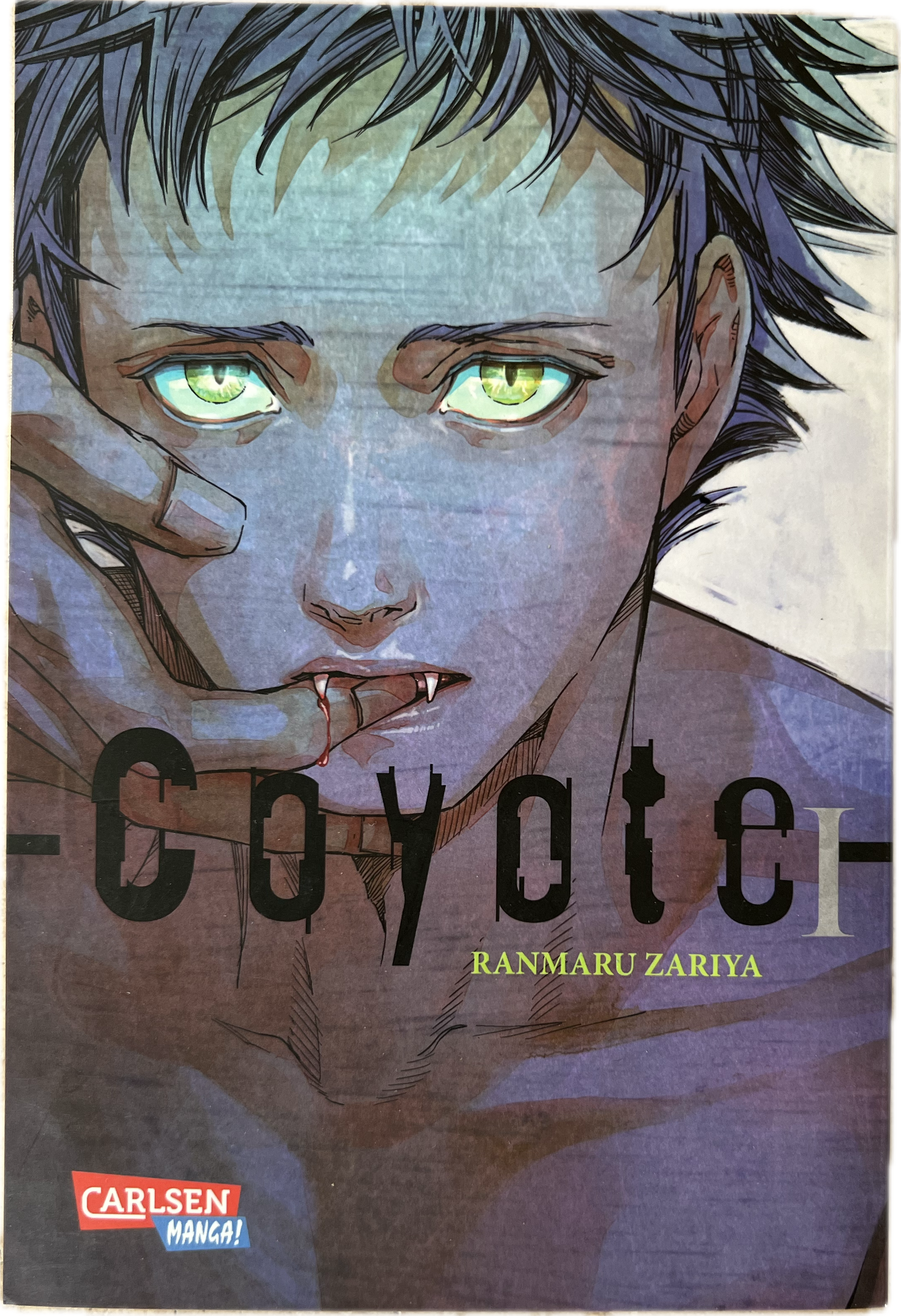 Coyote 01