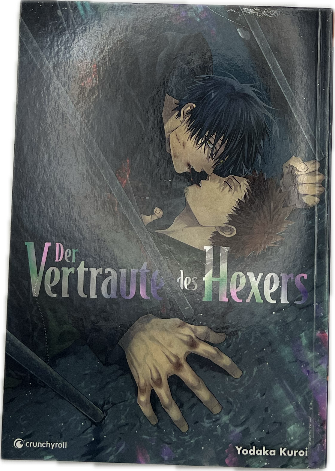 Der Vertraute des Hexers