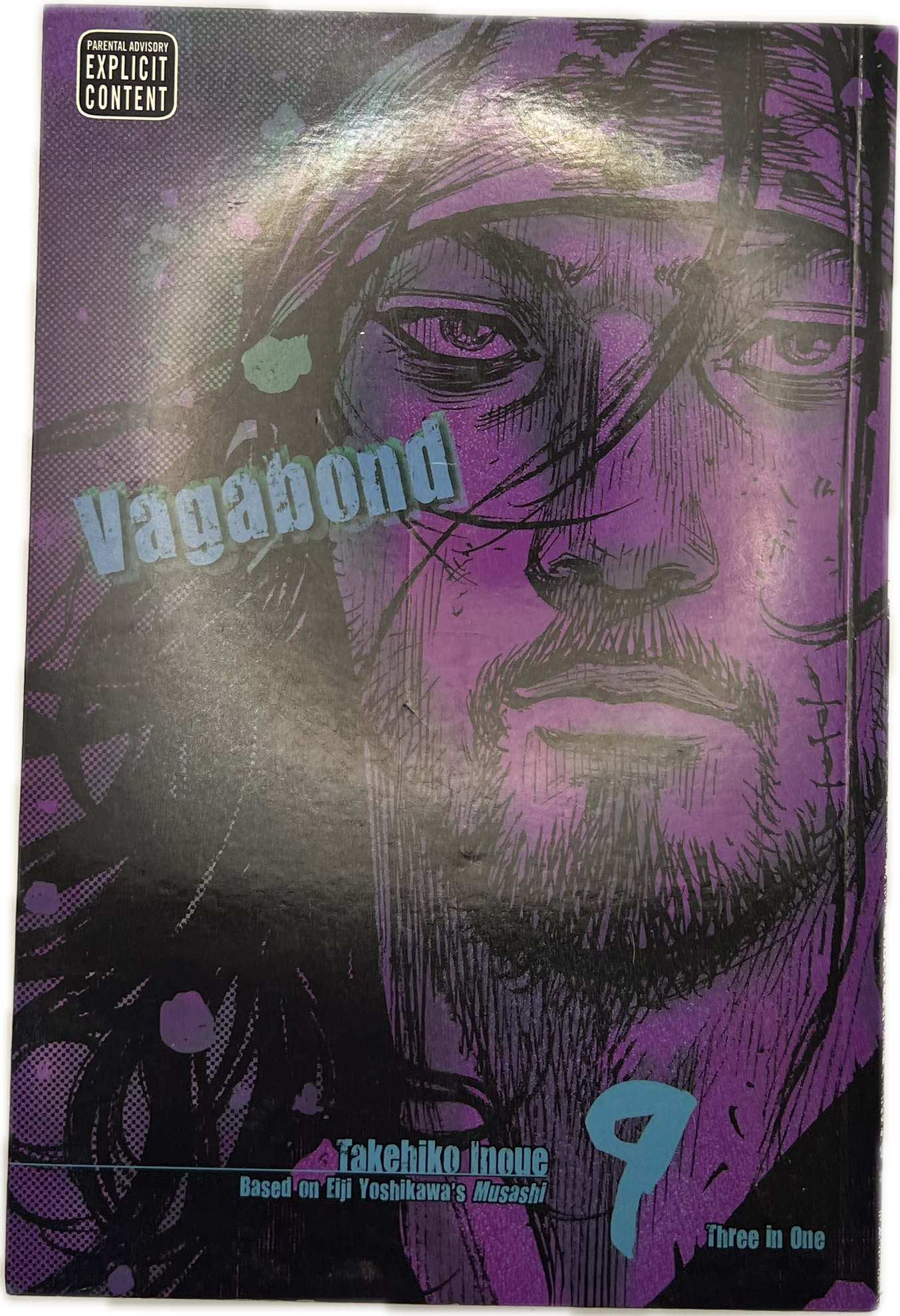 Vagabond 09 VIZBIG Englisch