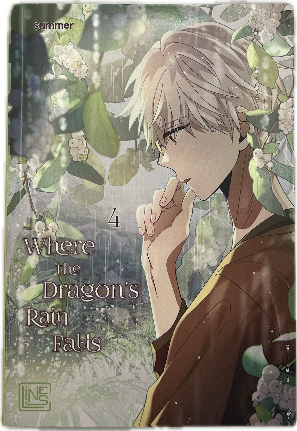 Where the Dragon's Rain falls 04