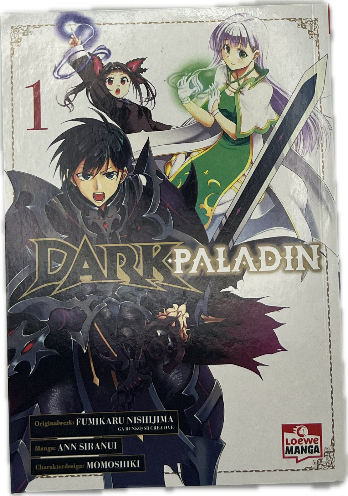 Dark Paladin 01
