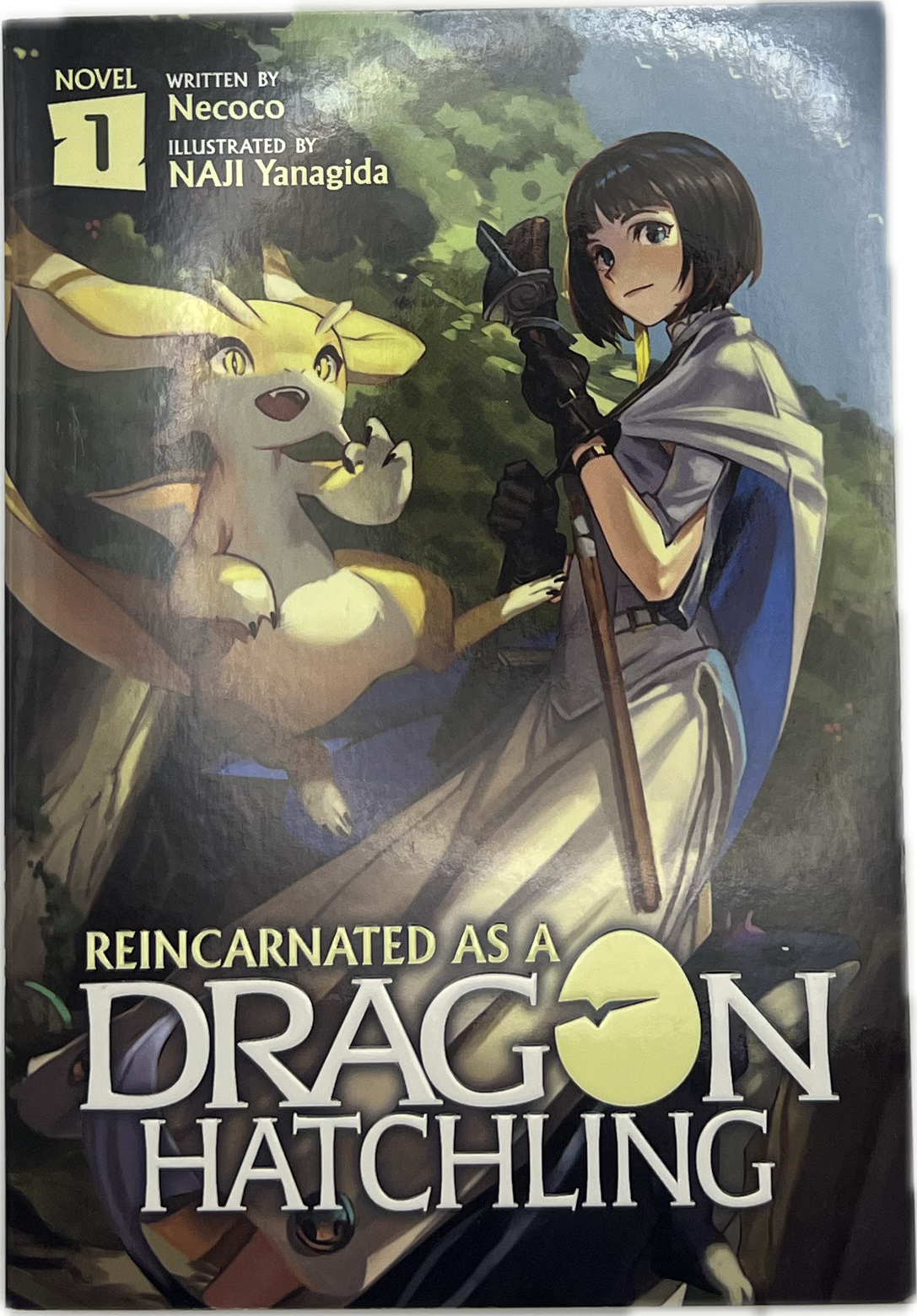 Reincarnated as a Dragon Hatchling 01