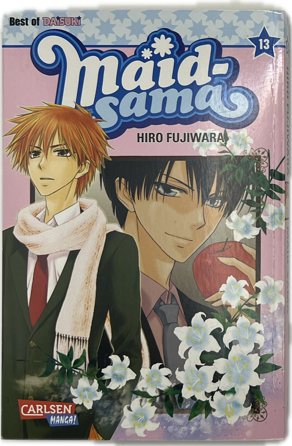 Maid Sama 13