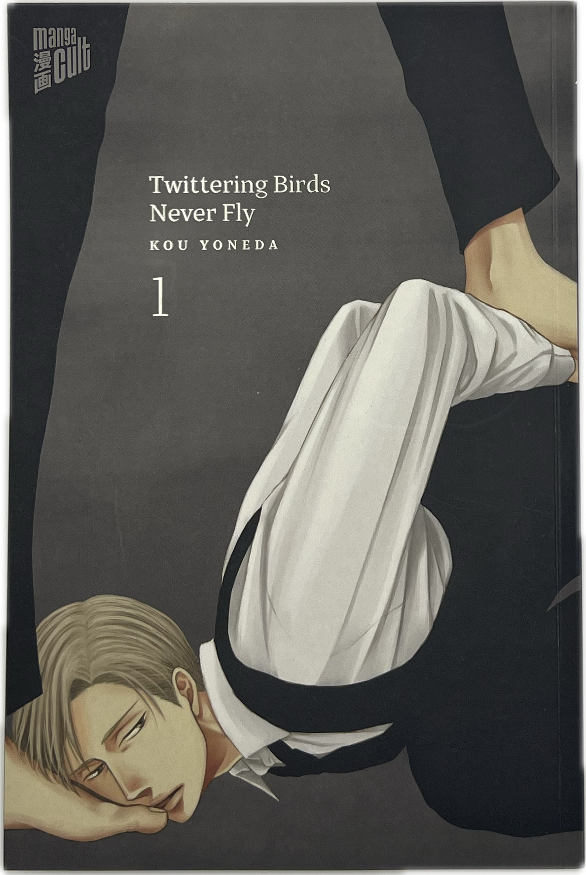 Twittering Birds Never Fly 01