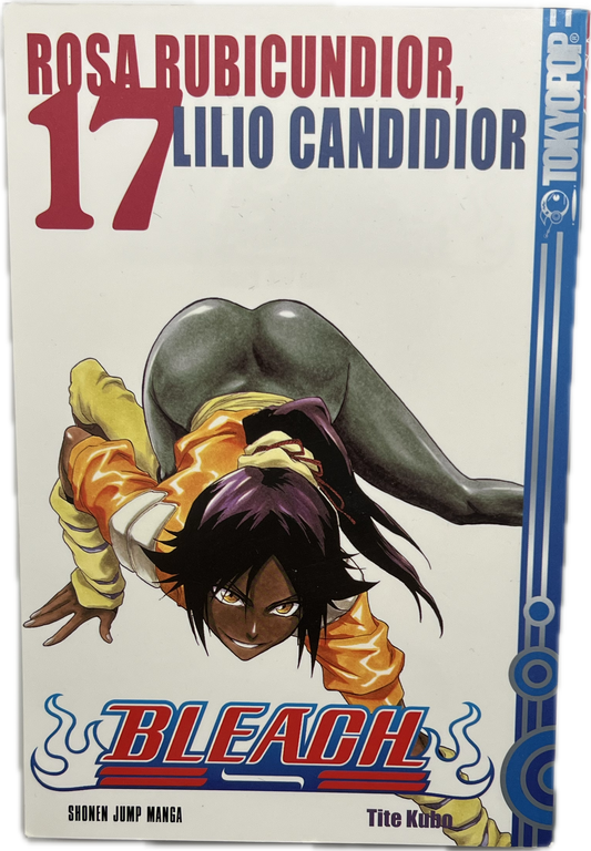 Bleach 17 | Manayga