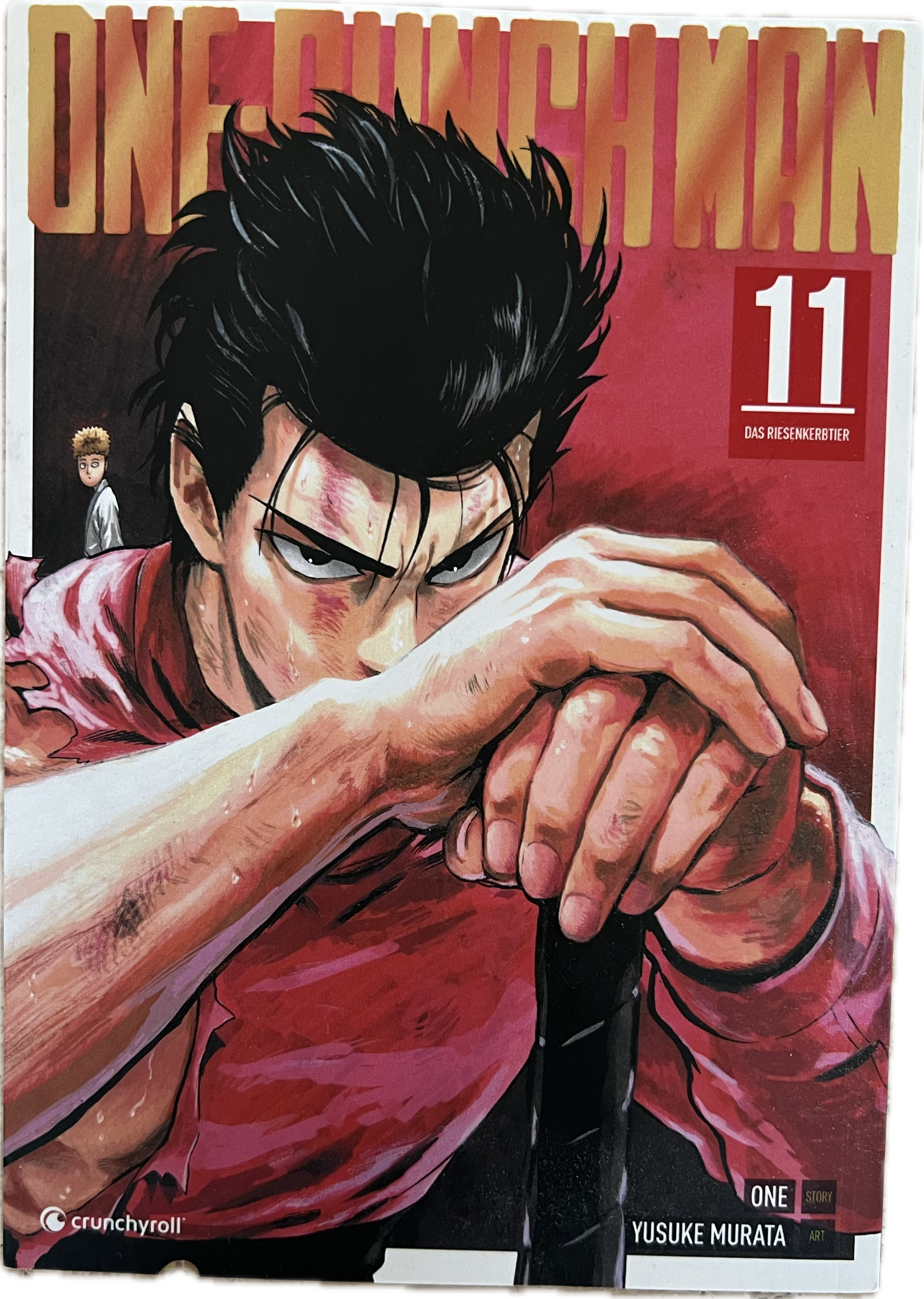 One Punch Man 11 | Manayga