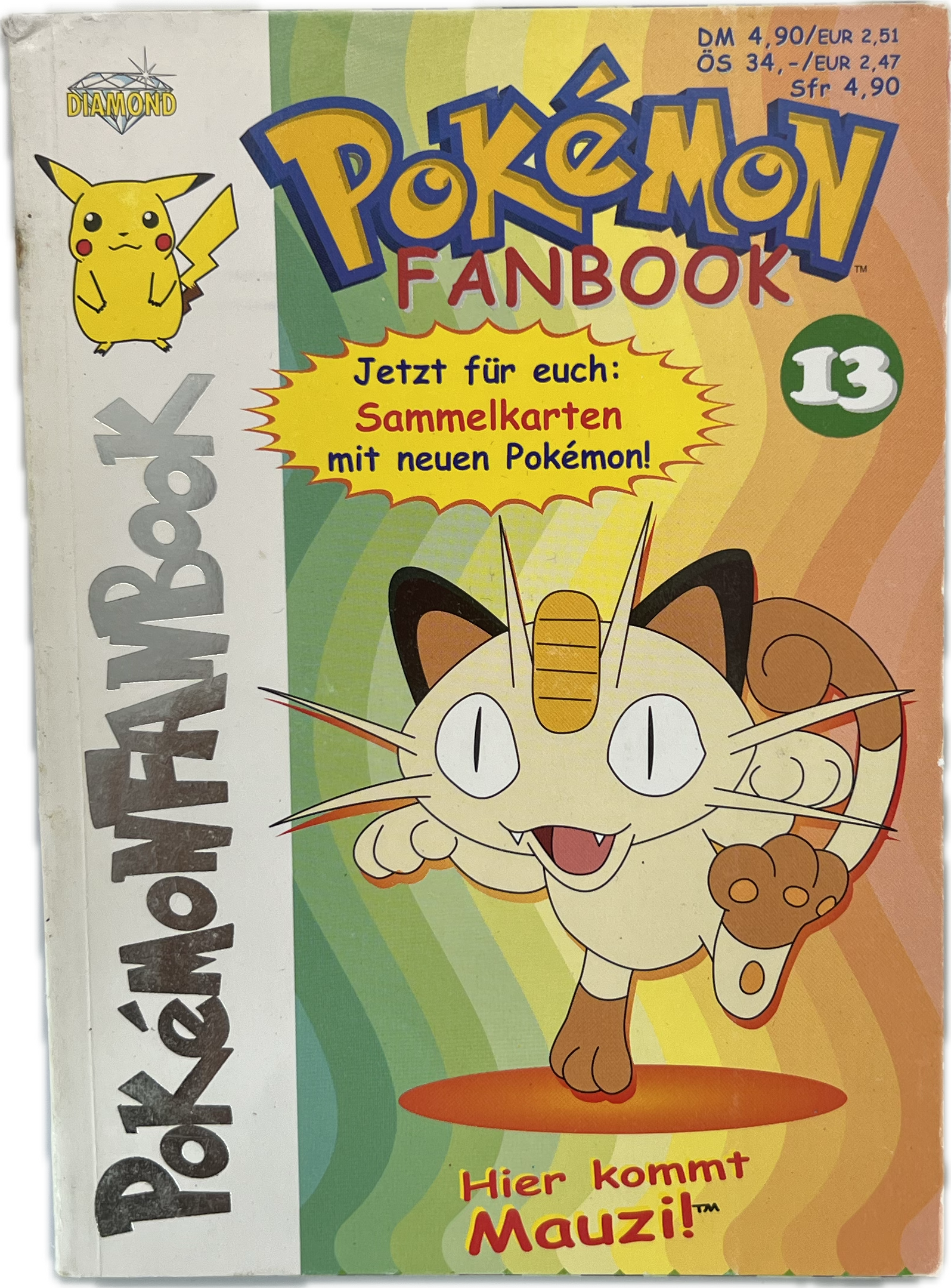 Pokemon Fanbook 13