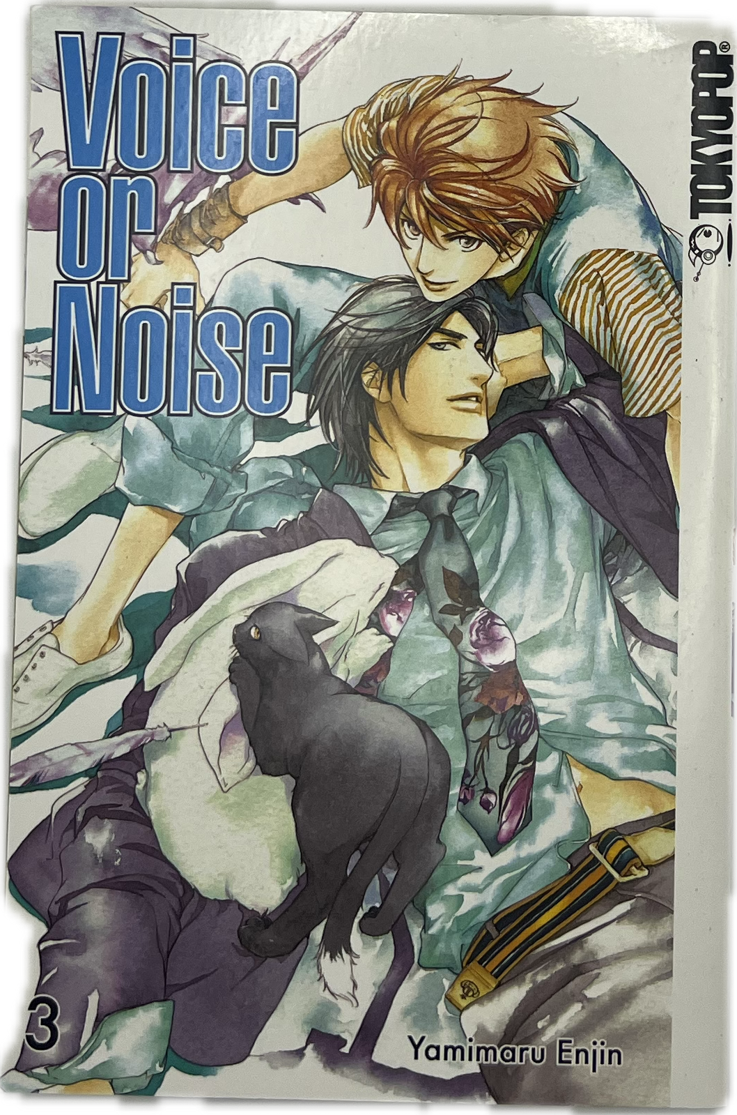 Voice or Noise 03