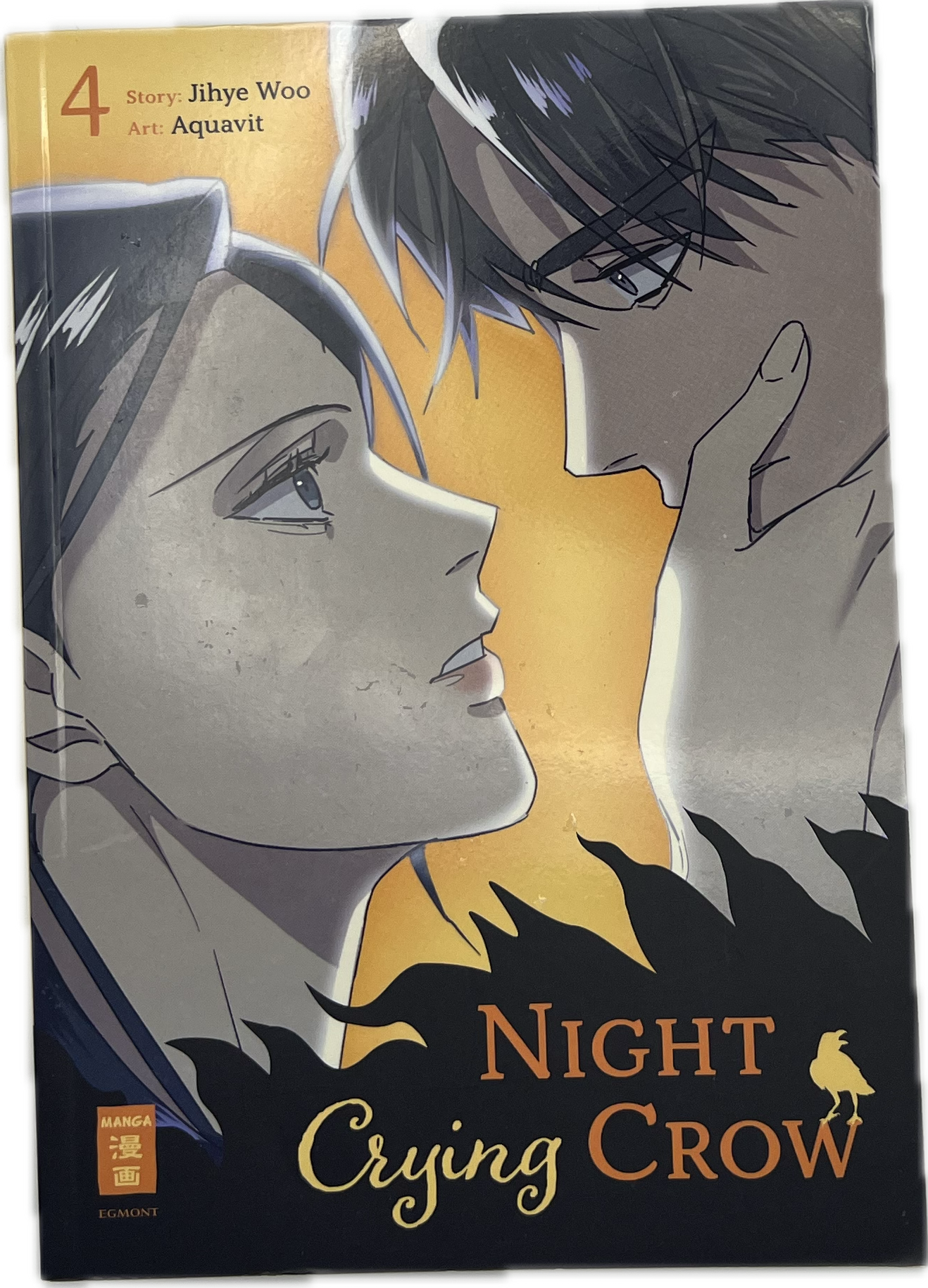Night Crying Crow 04