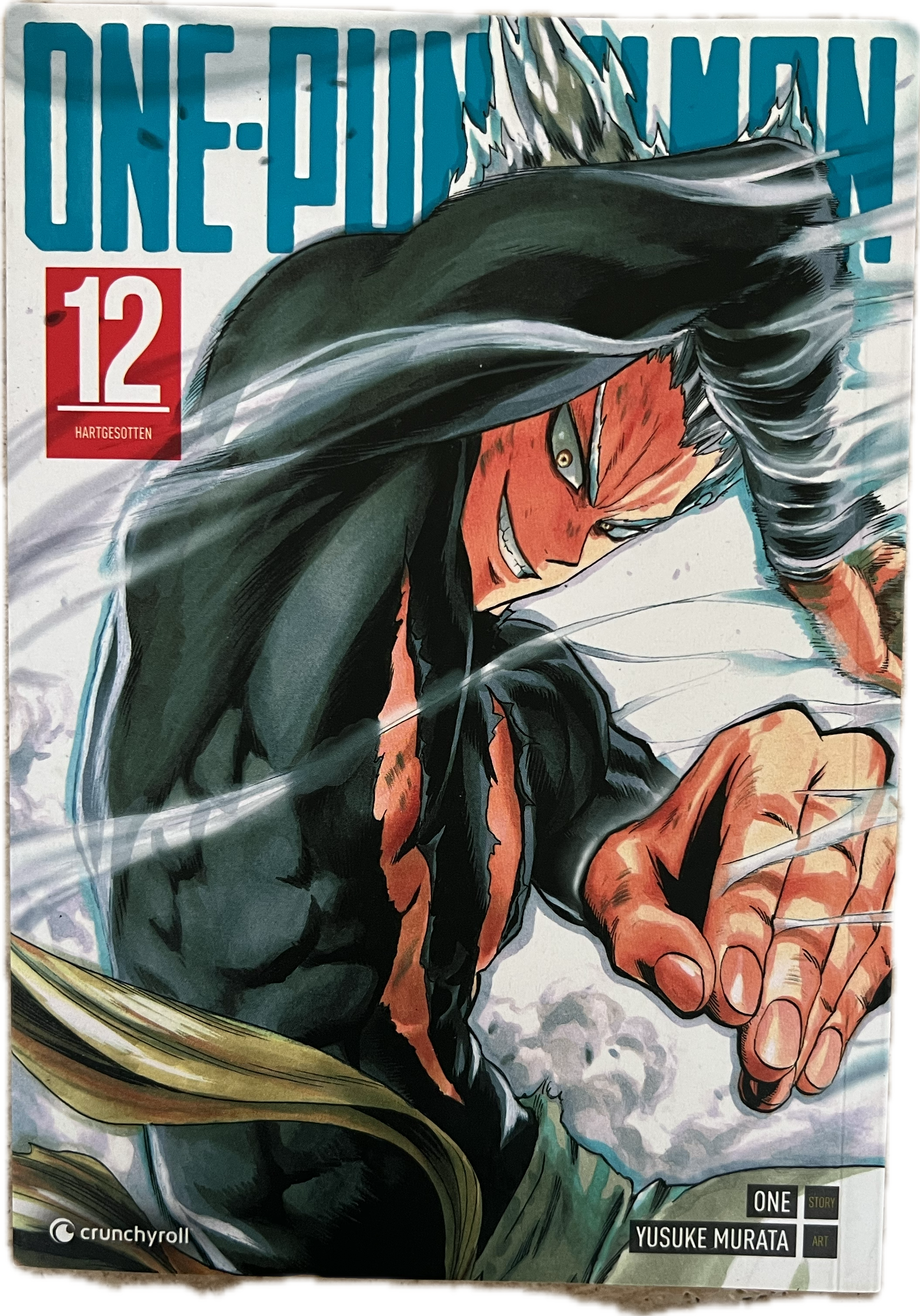 One Punch Man 12 | Manayga