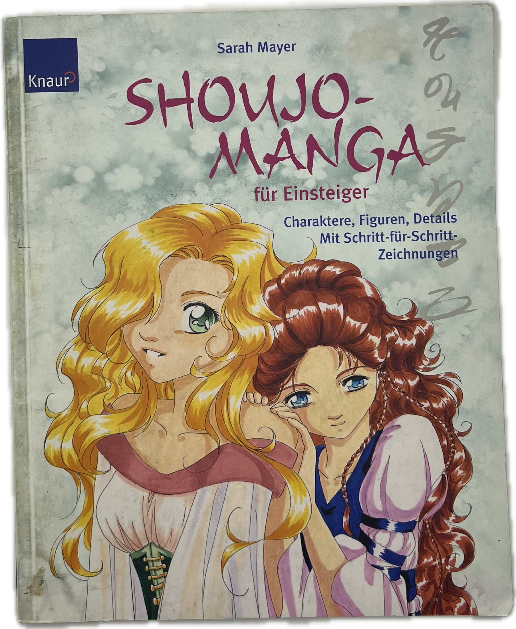 Shoujo-Manga für Einsteiger