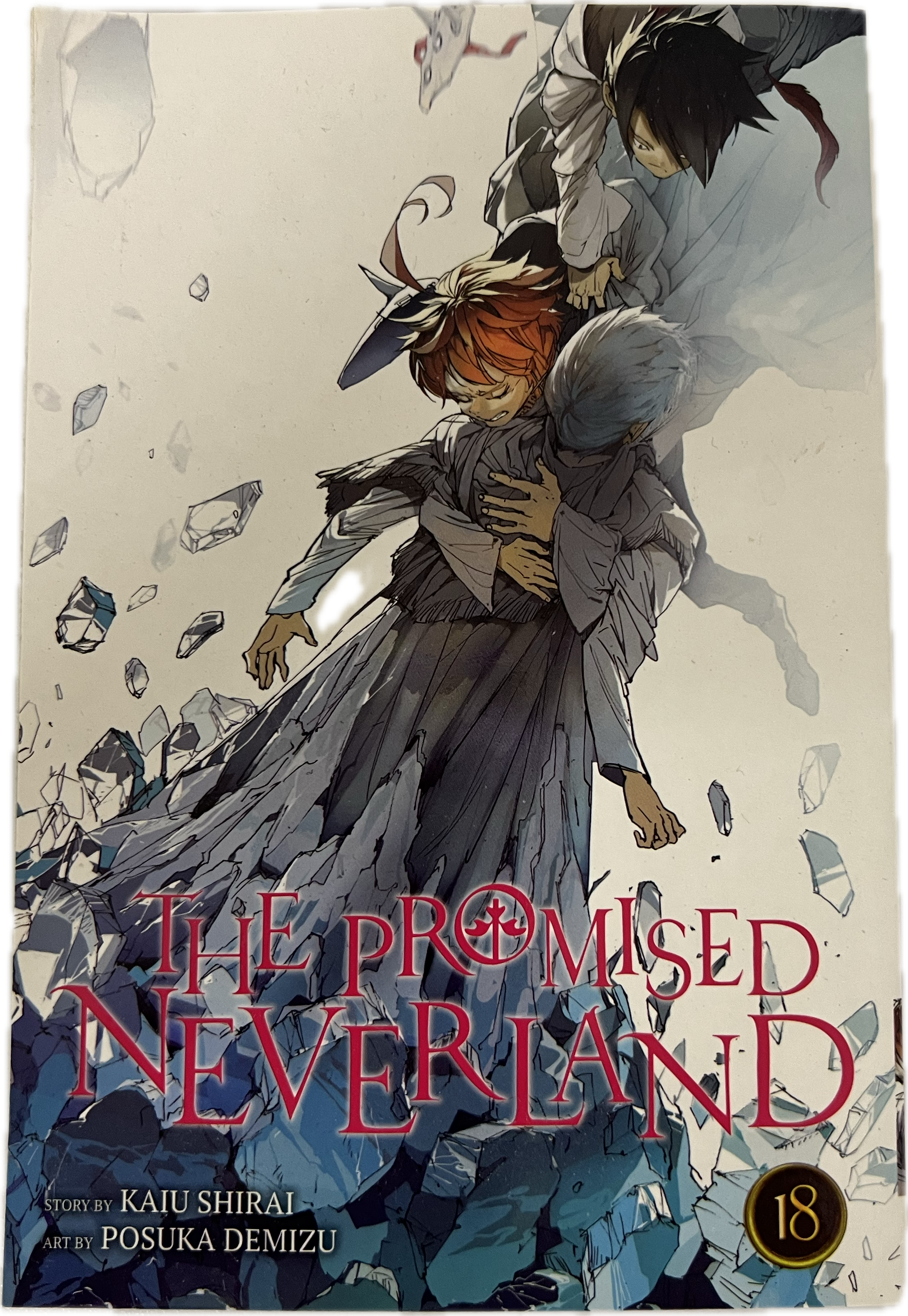 The Promised Neverland 18 Englisch