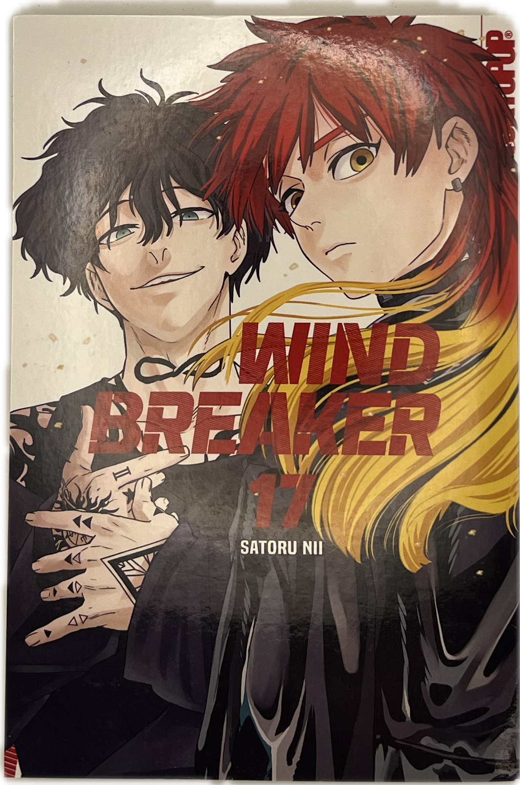 Wind Breaker 17 (Neu)