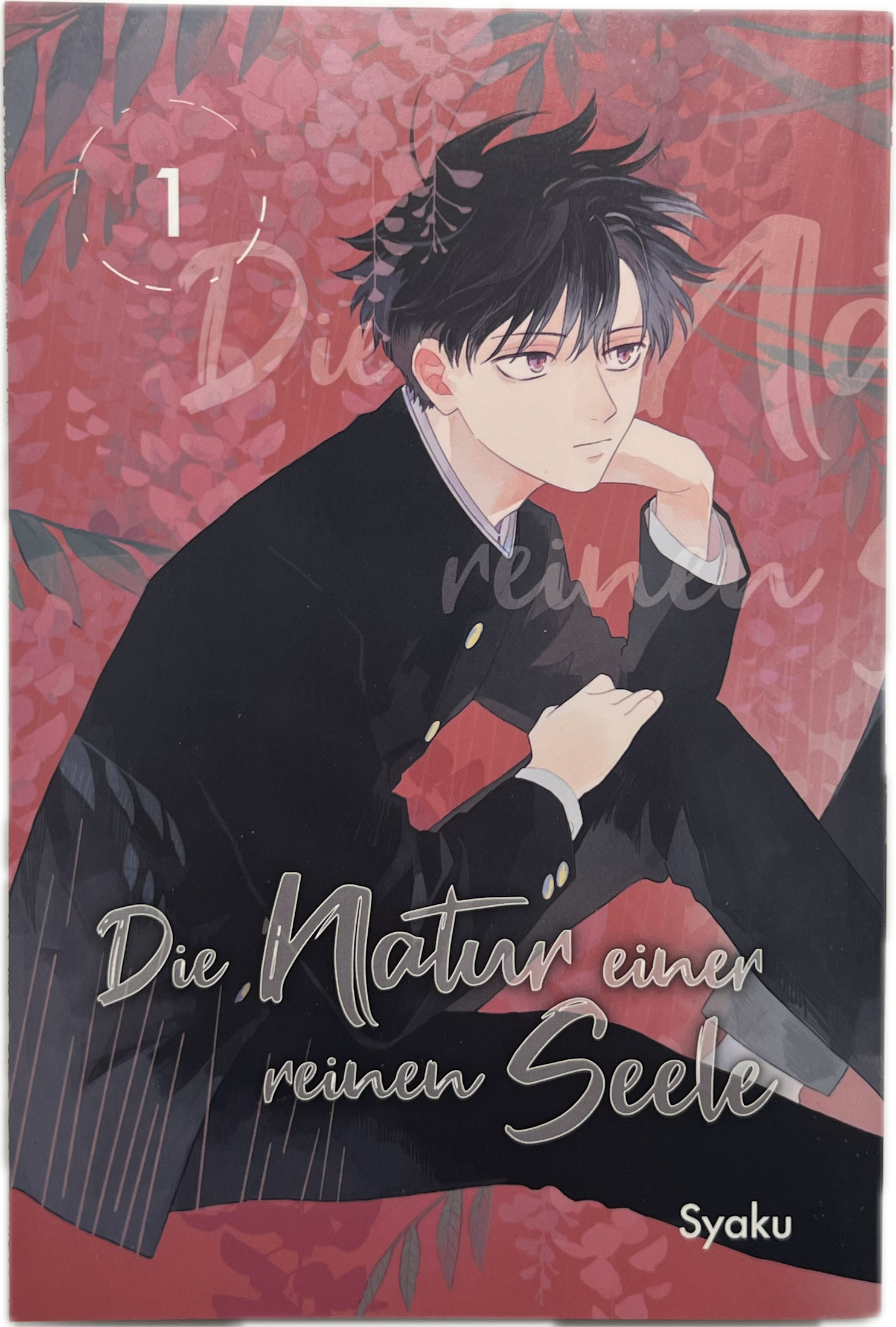 Die Natur einer reinen Seele 01